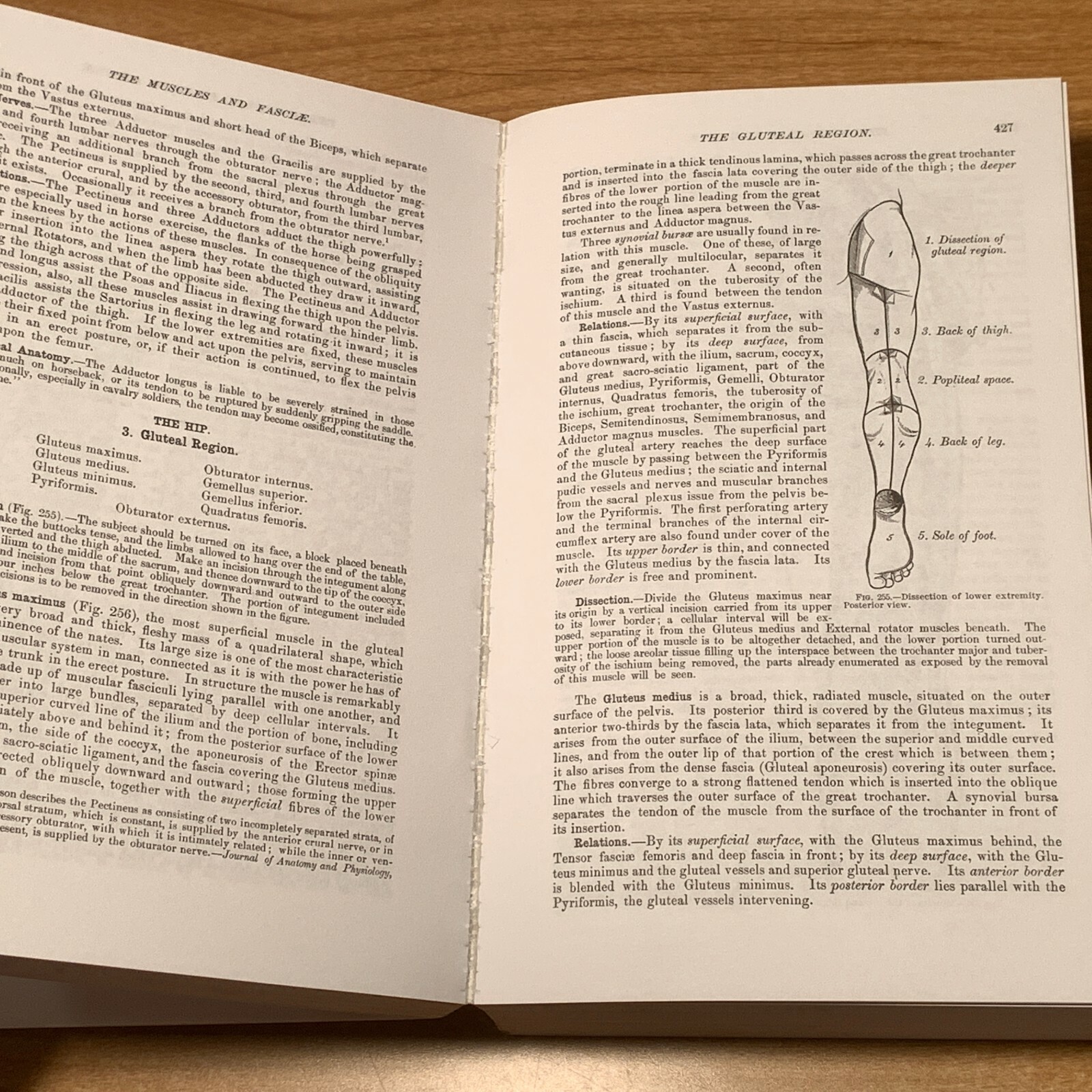 Gray’s Anatomy: The Unabridged Running Press Edition of the American Classic….