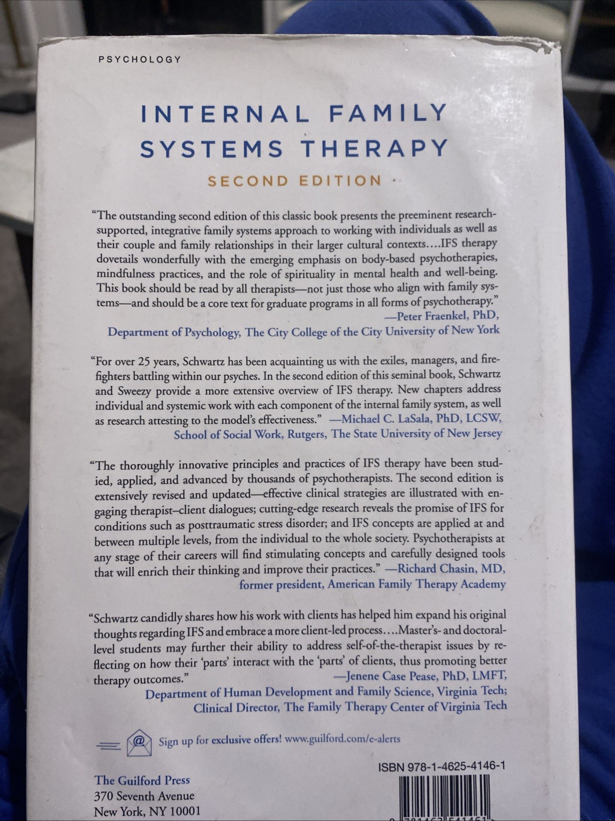 Internal Family Systems Therapy 2nd Ed Hardcover – Richard C. Schwartz