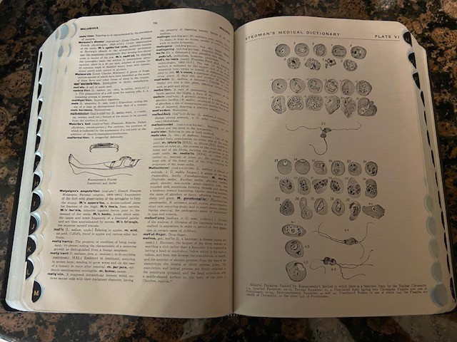 Steman’s Medical Dictionary Illustrated 17th Revised Edition 1949