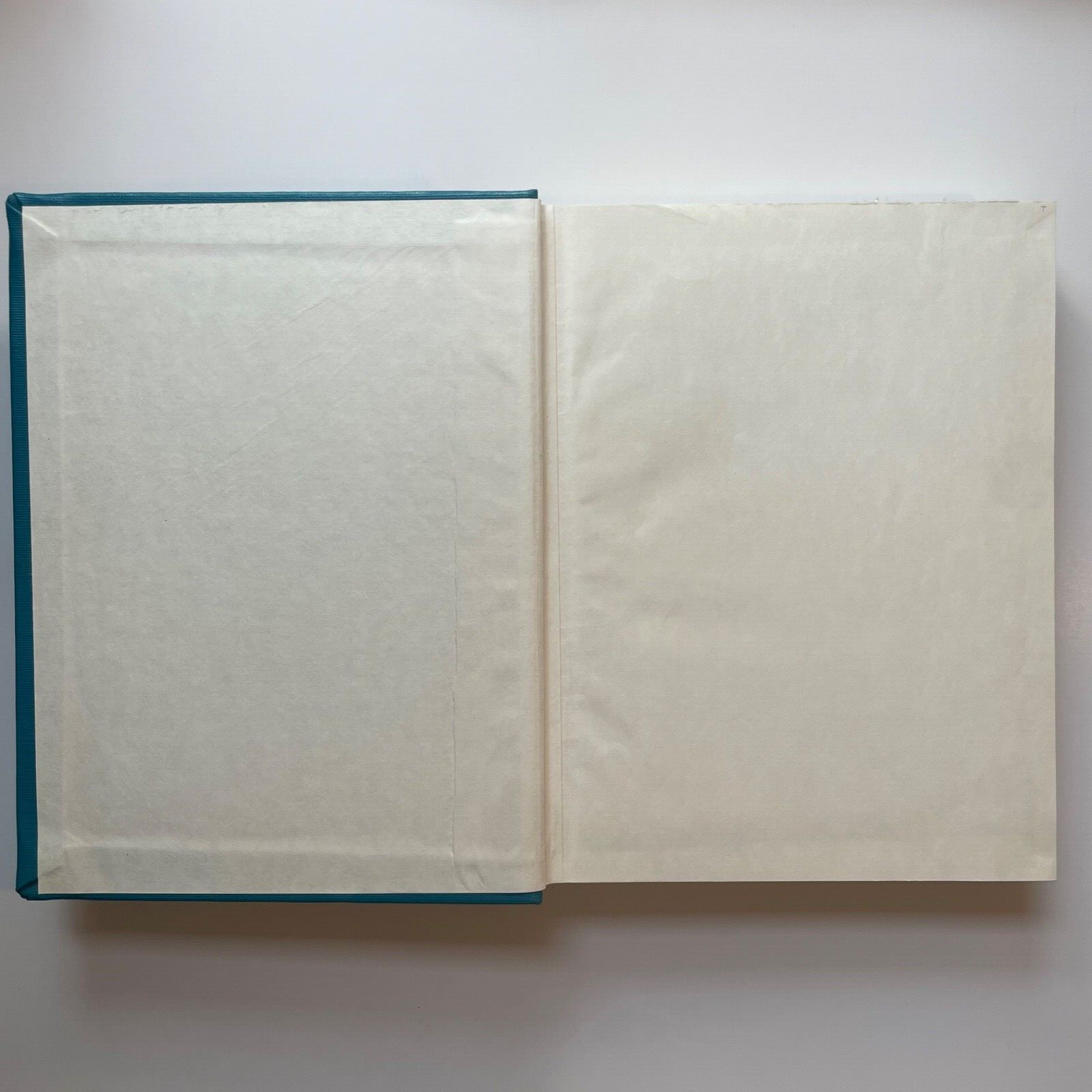 Costa Rican Natural History by Daniel H Janzen, 1983 Univer. Chicago Cloth-Bound