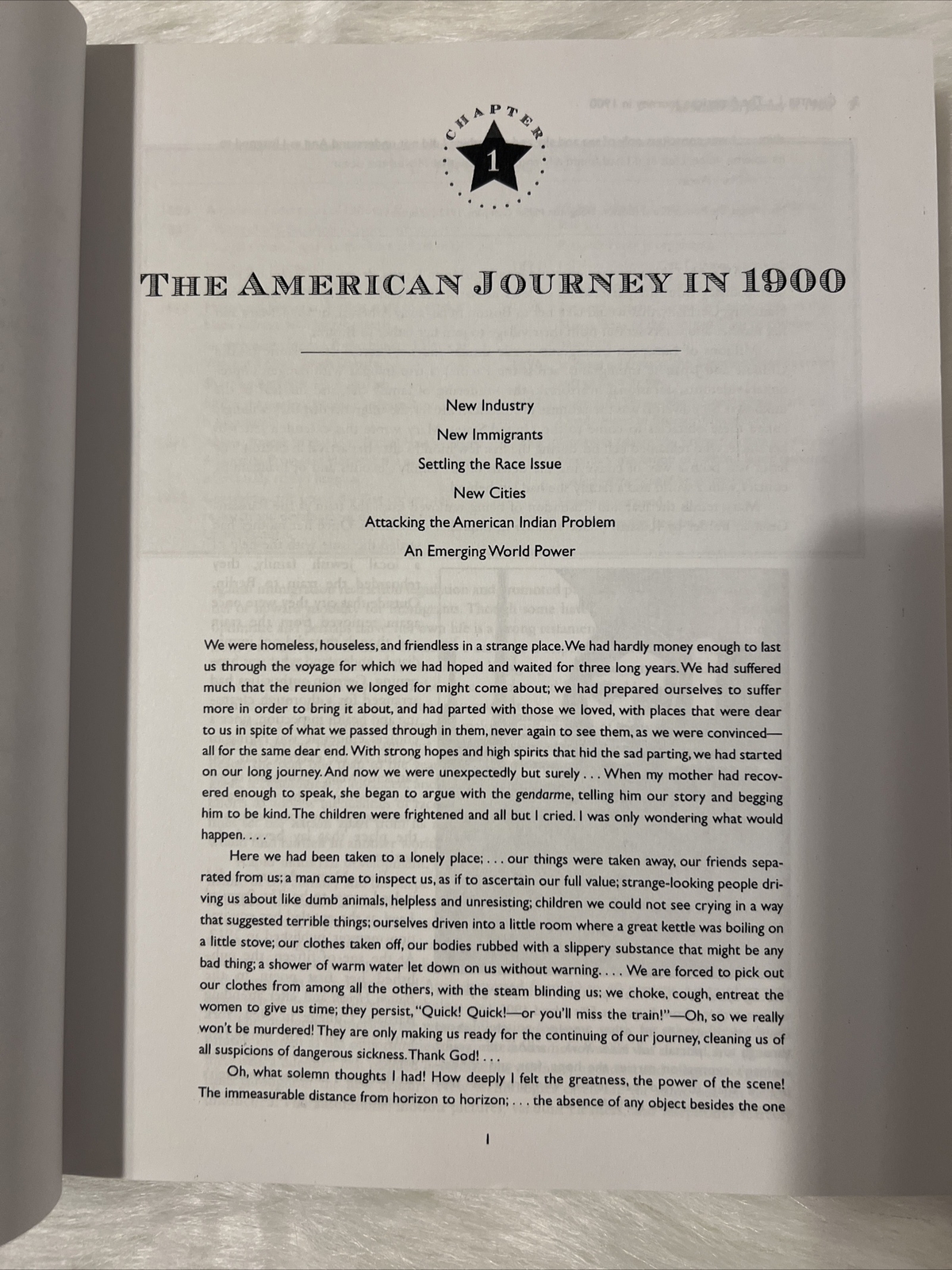 Twentieth-Century America: A Social and Political History, Argersinger, Peter H.