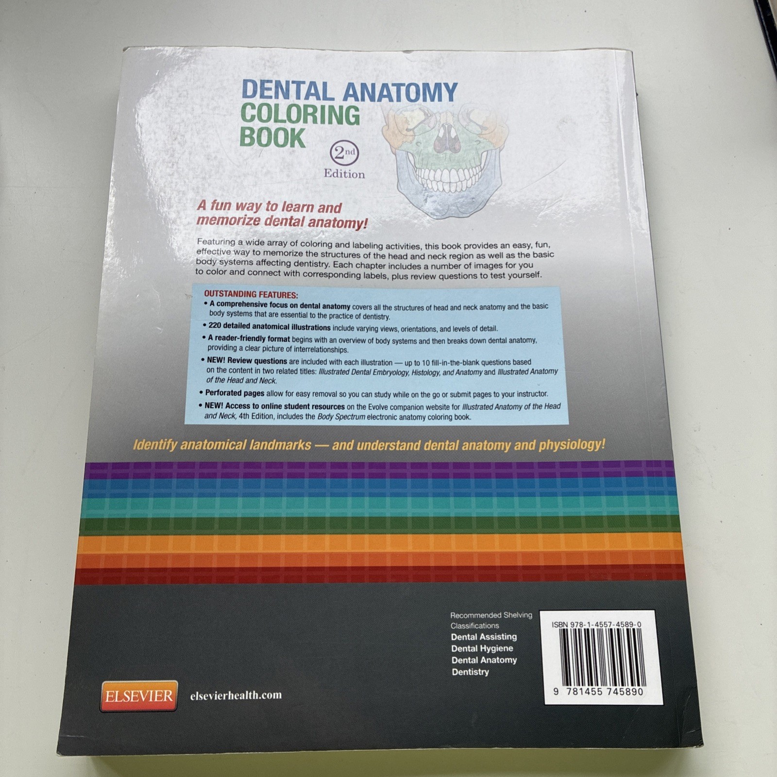 Dental Anatomy Coloring Book