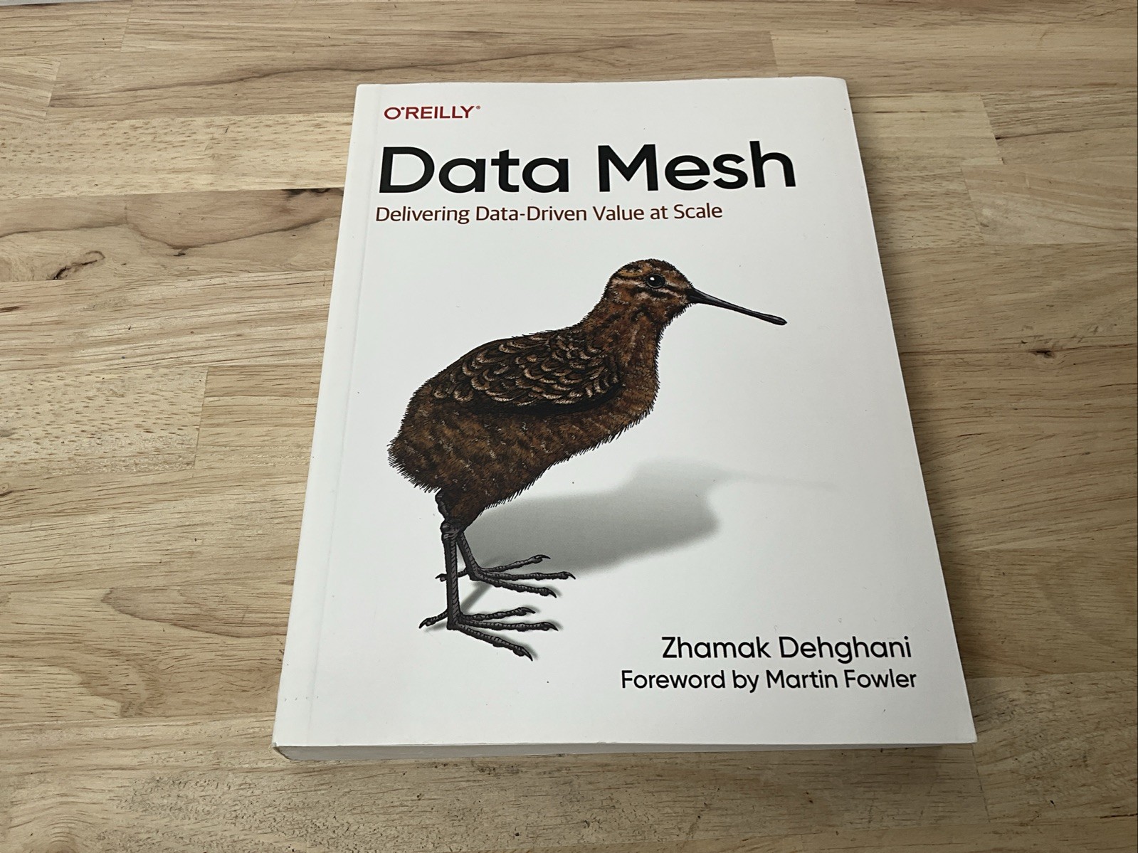 Data Mesh: Delivering Data-Driven Value at Scale – Paperback – O’Reilly 2022