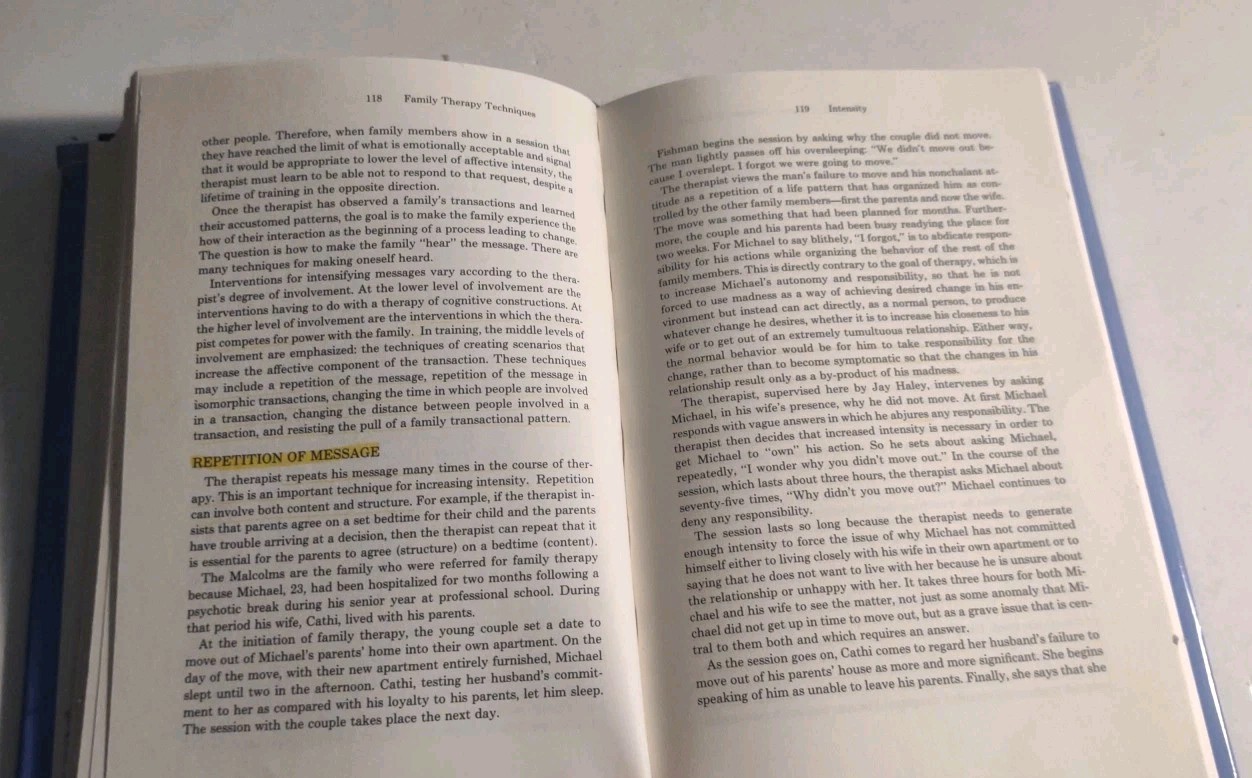 Family Therapy Techniques by Salvador Minuchin & H. Charles Fishman Hardcover.