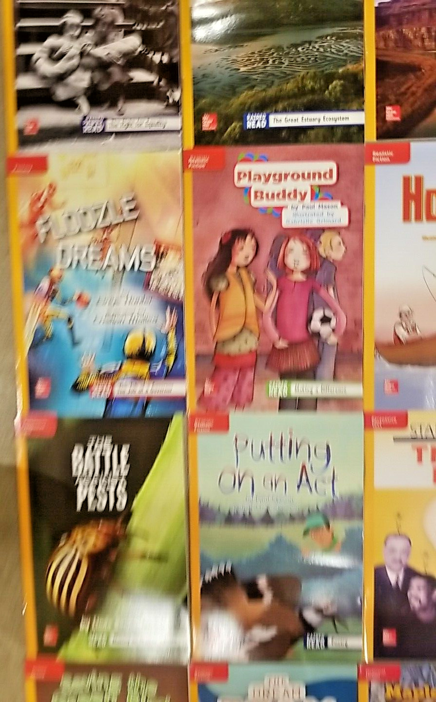 Mcgraw Hill Reading Wonderworks Grade 4 Apprentice Leveled Readers Set of 30 New
