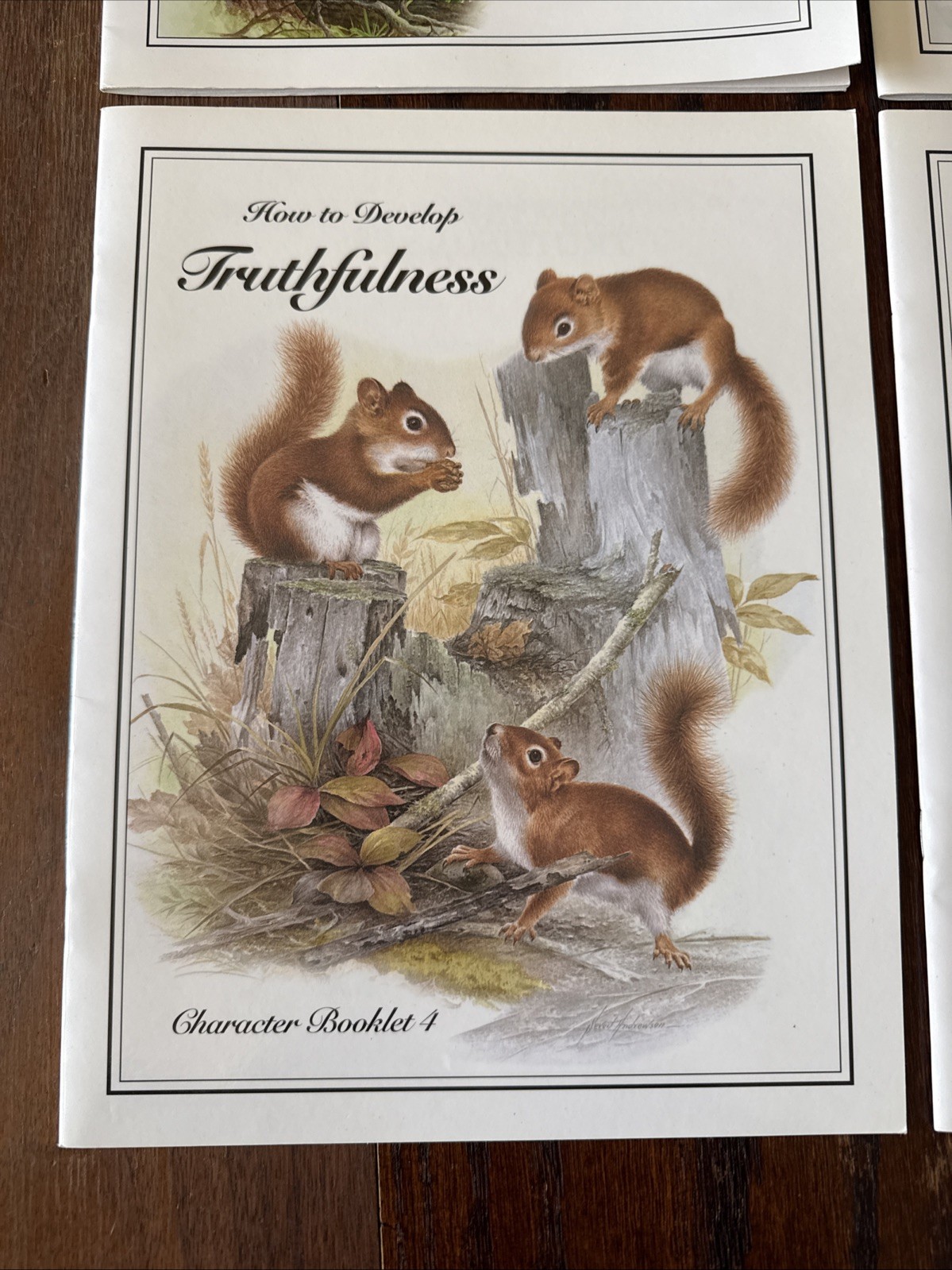 IBLP Character Booklet 1-6, How To Develop Set
