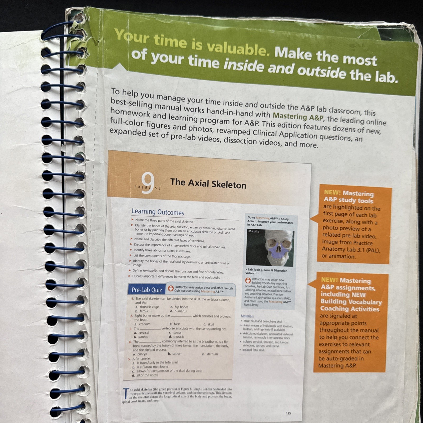Human Anatomy and Physiology Laboratory Manual, Cat Version by Lori Smith and…