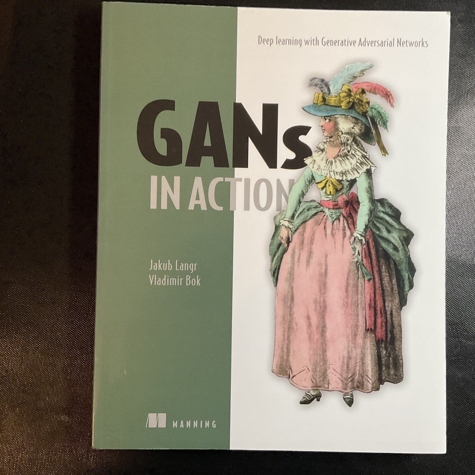 GANs in Action : Deep Learning with Generative Adversarial Networks by Bok 2019
