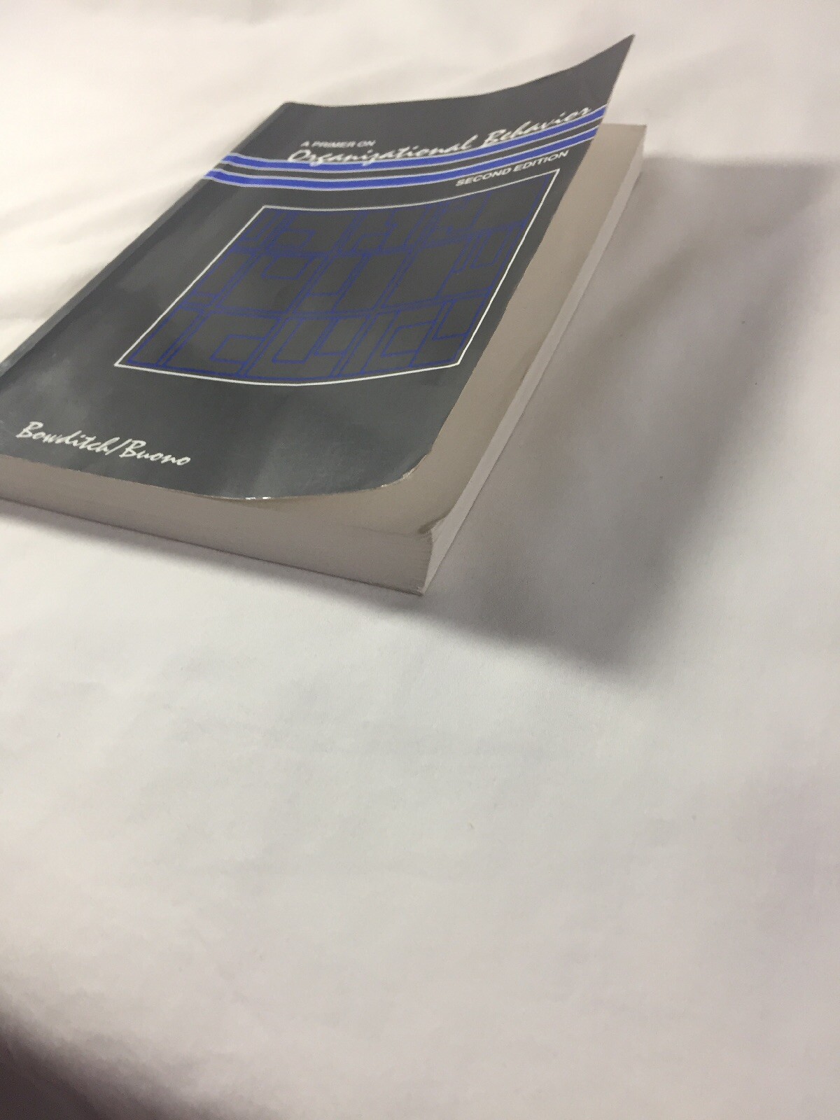A Primer on Organizational Behavior by Anthony F. Buono; James L. Bowditch 2nd E