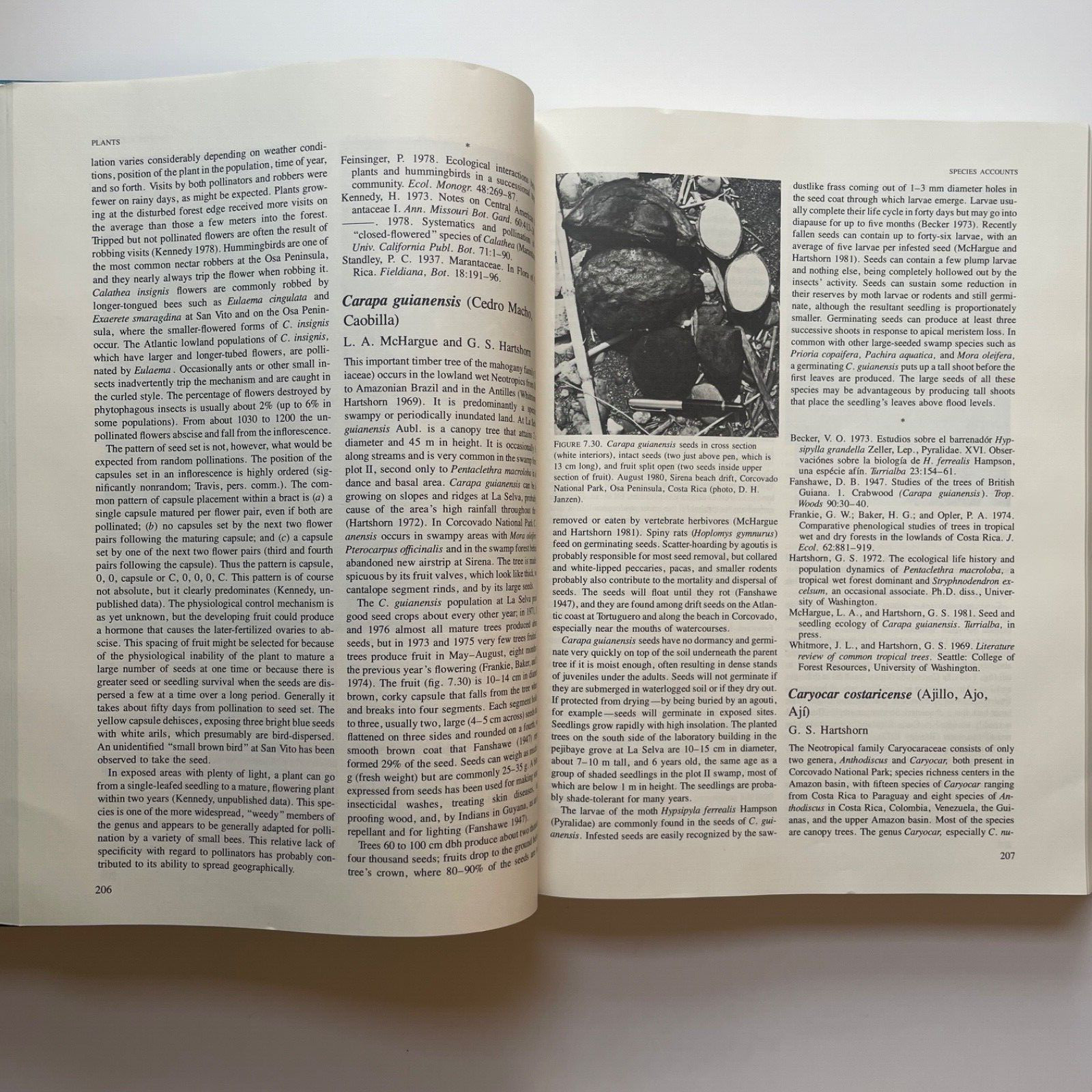 Costa Rican Natural History by Daniel H Janzen, 1983 Univer. Chicago Cloth-Bound