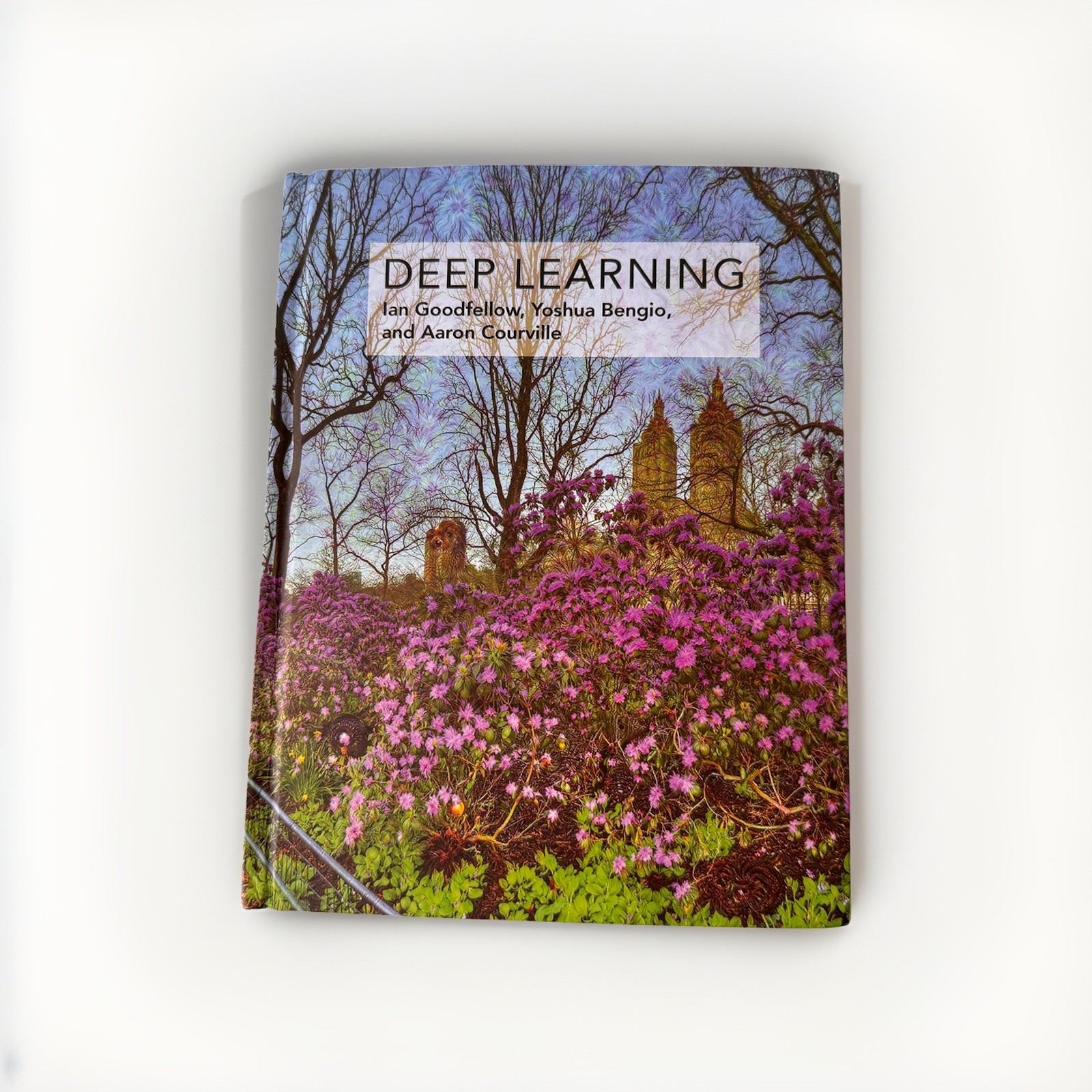 Deep Learning by Ian Goodfellow, Yoshua Bengio, Aaron Courville﻿ USA STOCK
