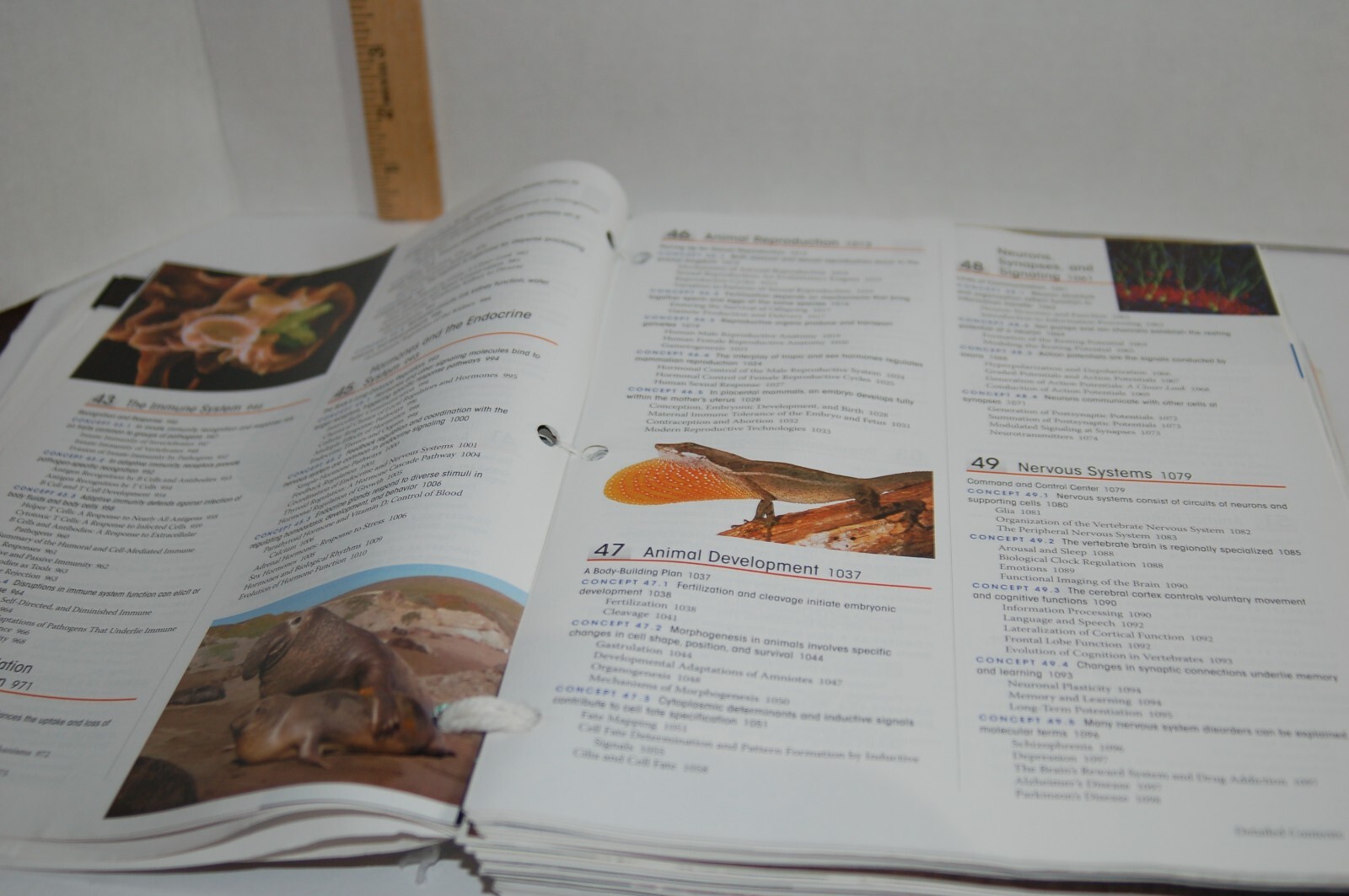 Campbell Biology 10th Edition Binder-ready Looseleaf Textbook Pearson A La Carte
