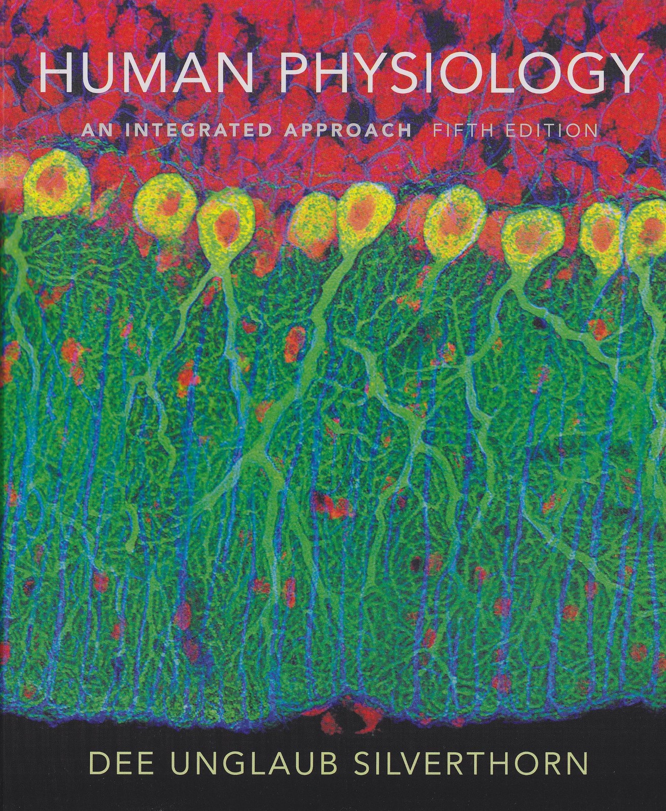 Human Physiology: An Integrated Approach (5th Edition) – hardcover Silvertho…