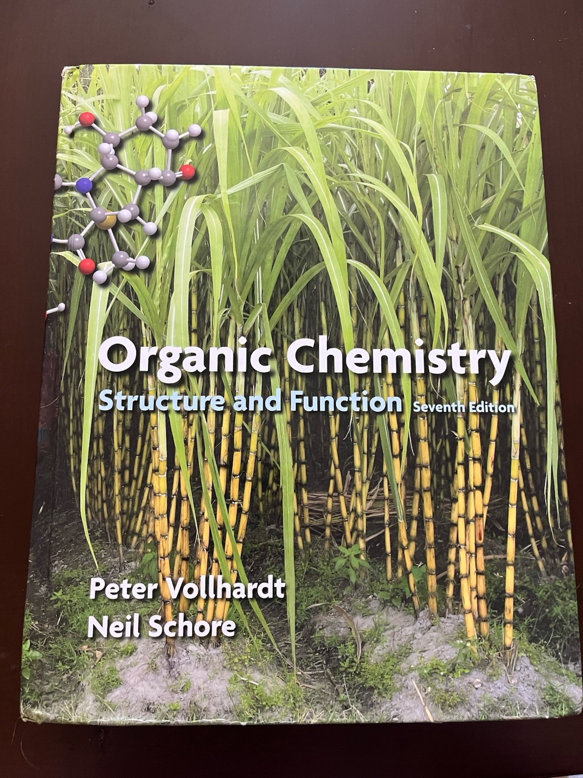 Organic Chemistry Structure Function Schore 7th Ed Hardcover with Study Guide