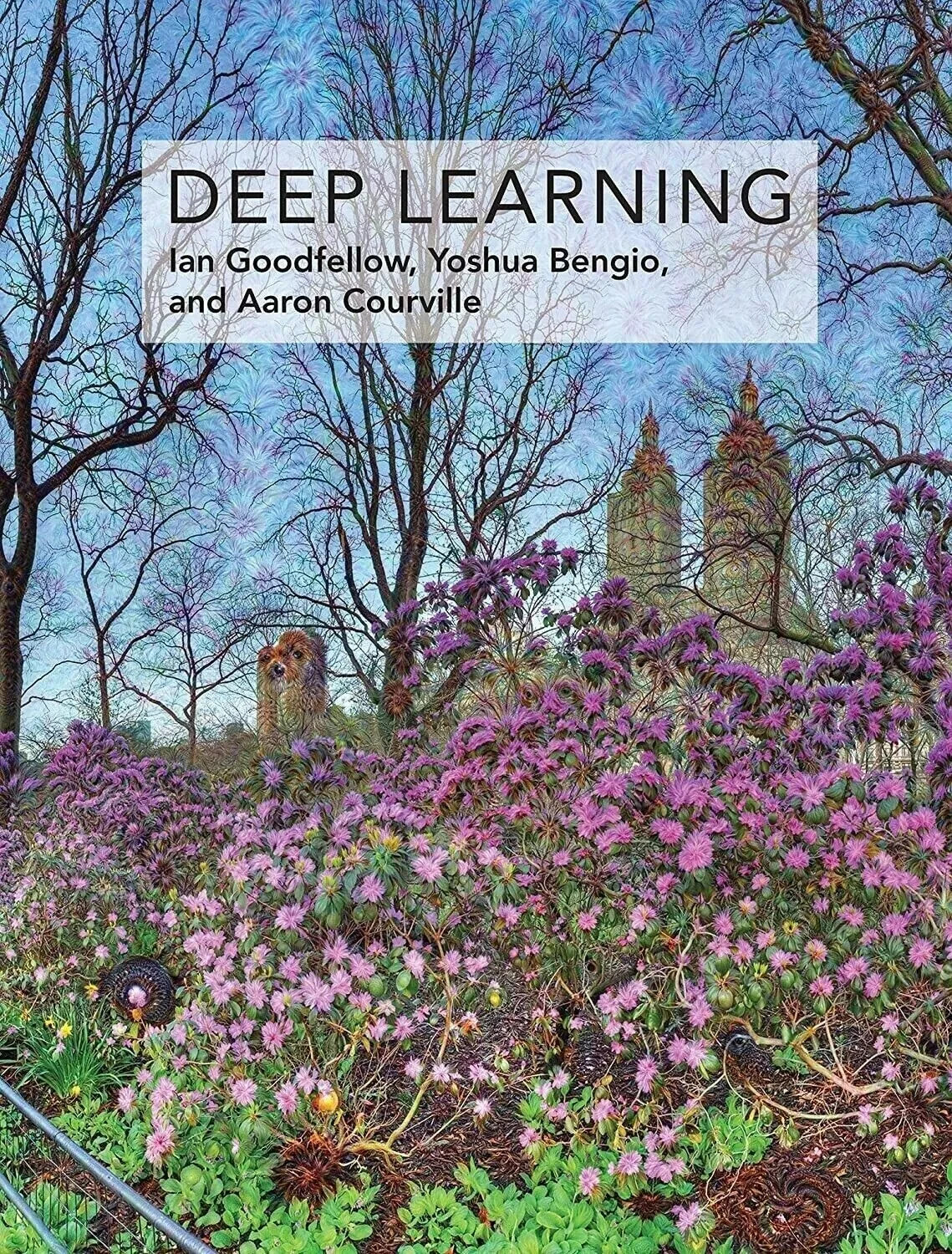 Deep Learning (Adaptive Computation and Machine Learning series) FAST SHIPPING!!