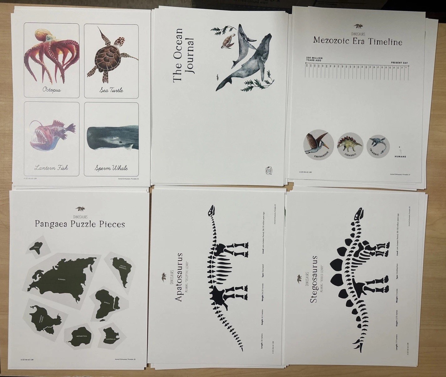 How Wee Learn Homeschool Curriculum Printables Kindergarten Science Animals Set