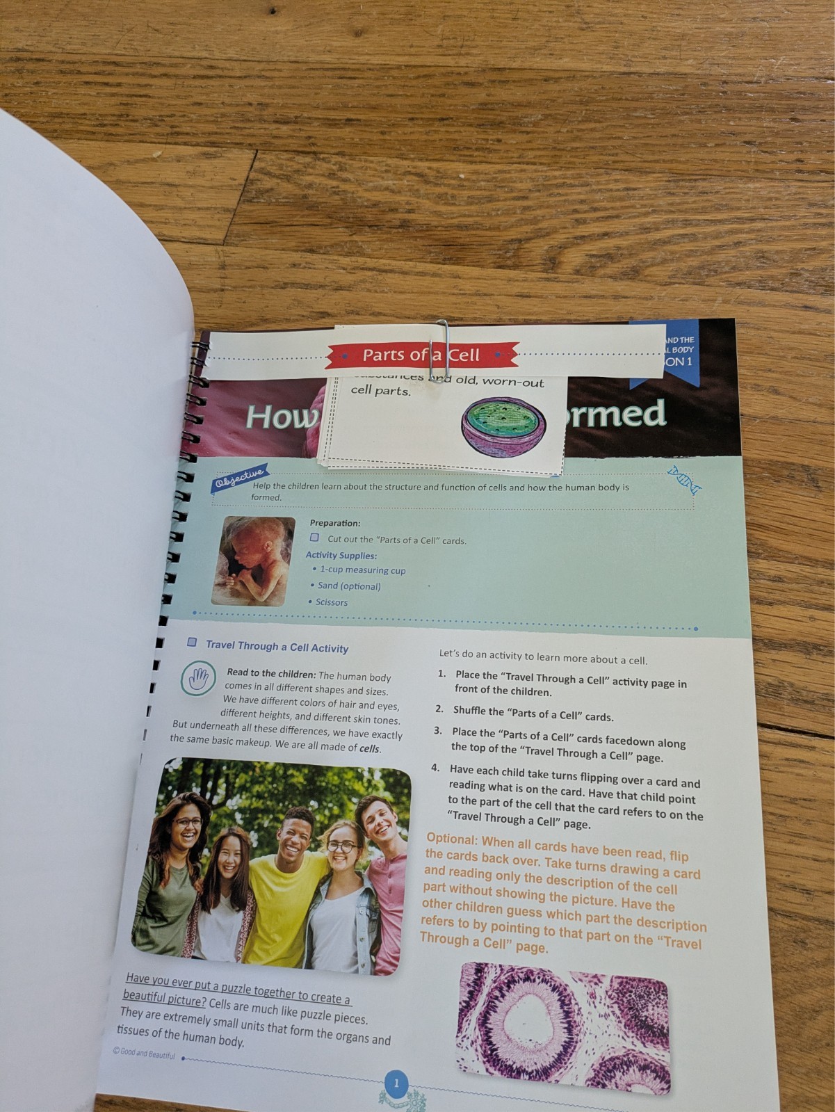 The Good & The Beautiful Health & The Physical Body 3-8 Science Unit Study TGTB