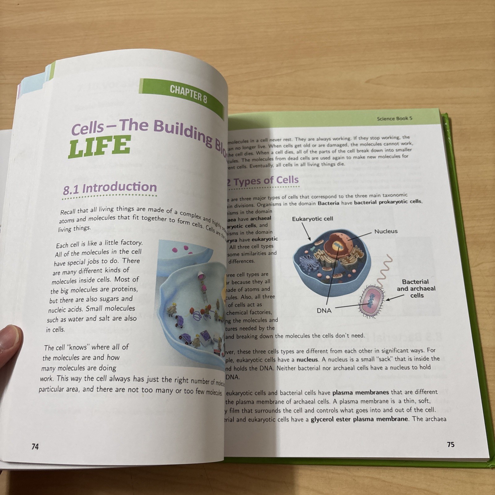 Real Science-4-Kids Science Book 5 Hardcover Rebecca Woodbury 2024 VG Homeschool
