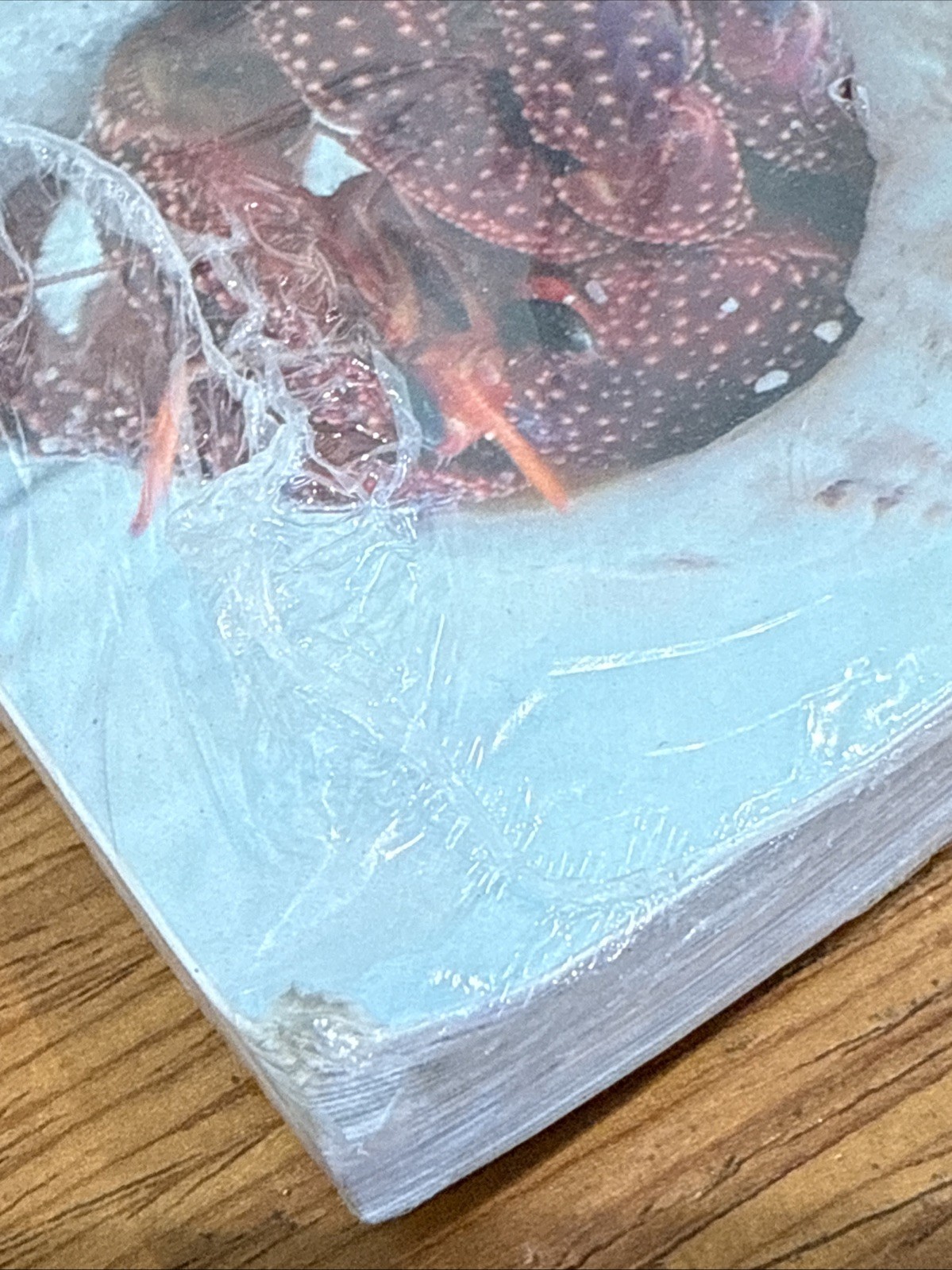 Principles of Biology II Lab Manual 2E Coastal Alabama Com College 9781640437821