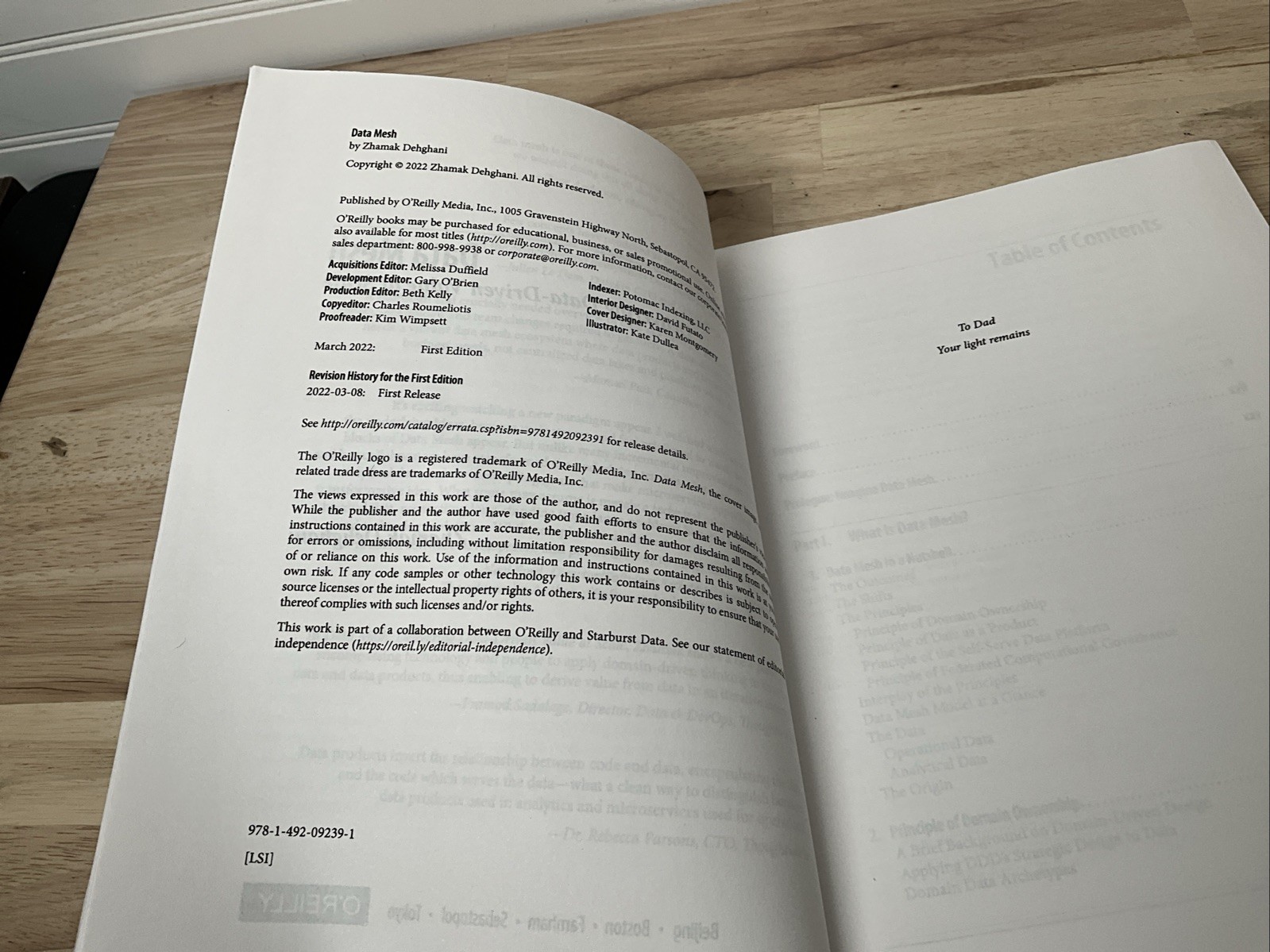 Data Mesh: Delivering Data-Driven Value at Scale – Paperback – O’Reilly 2022