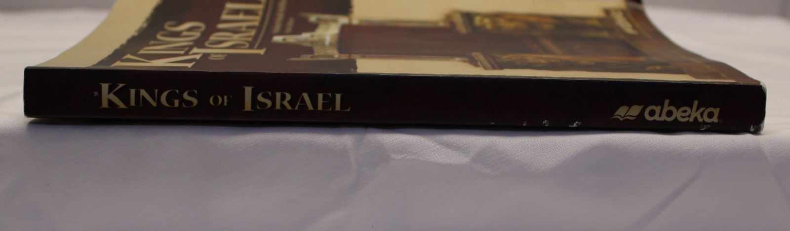 ABeka Kings of Israel Student Study Outline Book 3rd edition, Like New