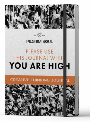 Creative Thinking Journal : Pilgrim Soul Guided Journal by Shawn Gold (2020,…