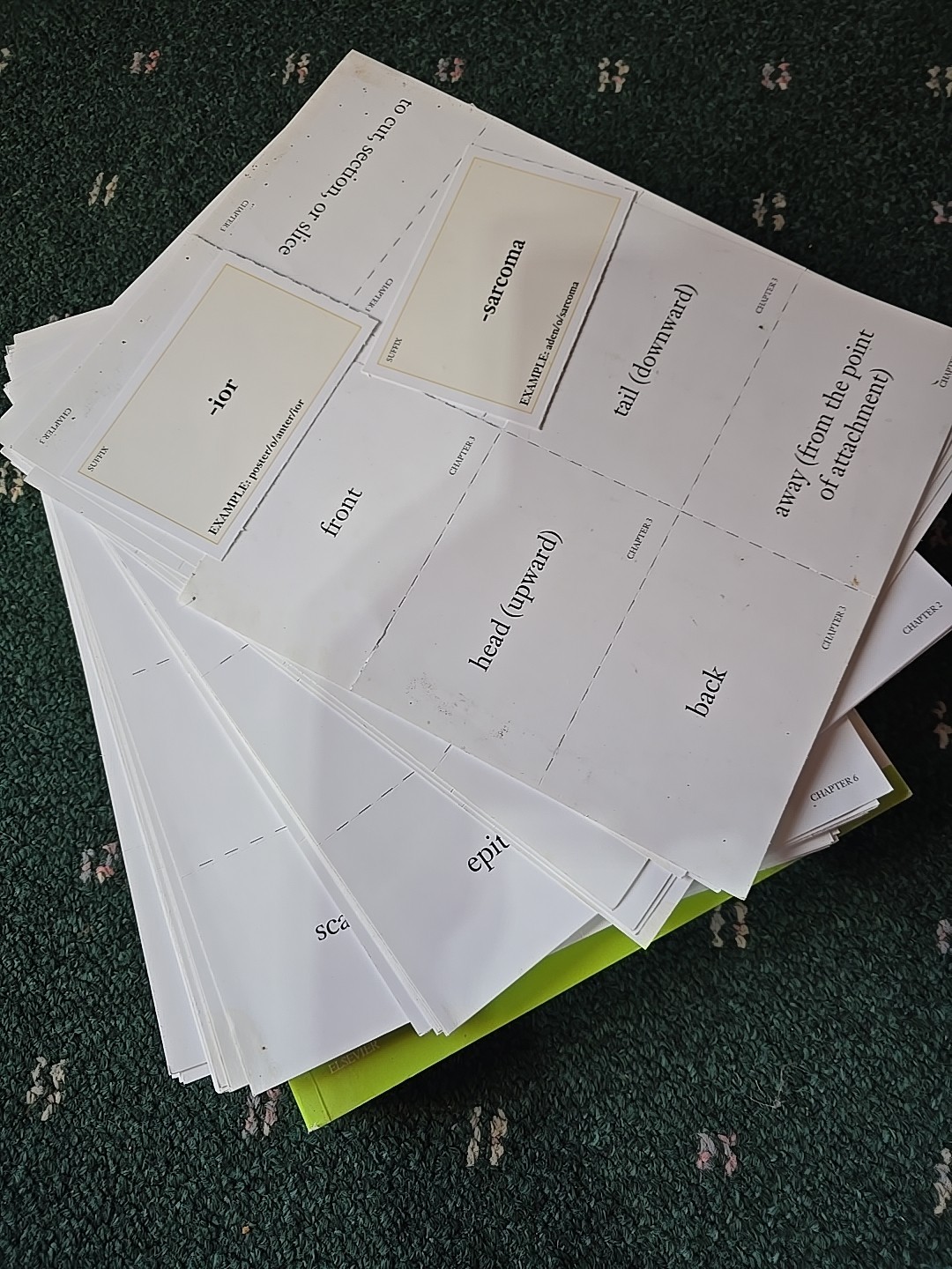 Exploring Medical Language : A Student-Directed Approach by Danielle LaFleur…