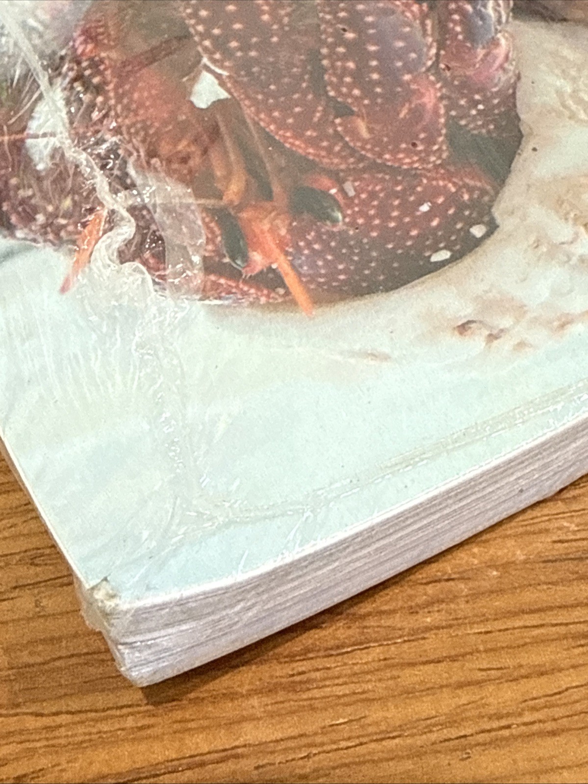 Principles of Biology II Lab Manual 2E Coastal Alabama Com College 9781640437821