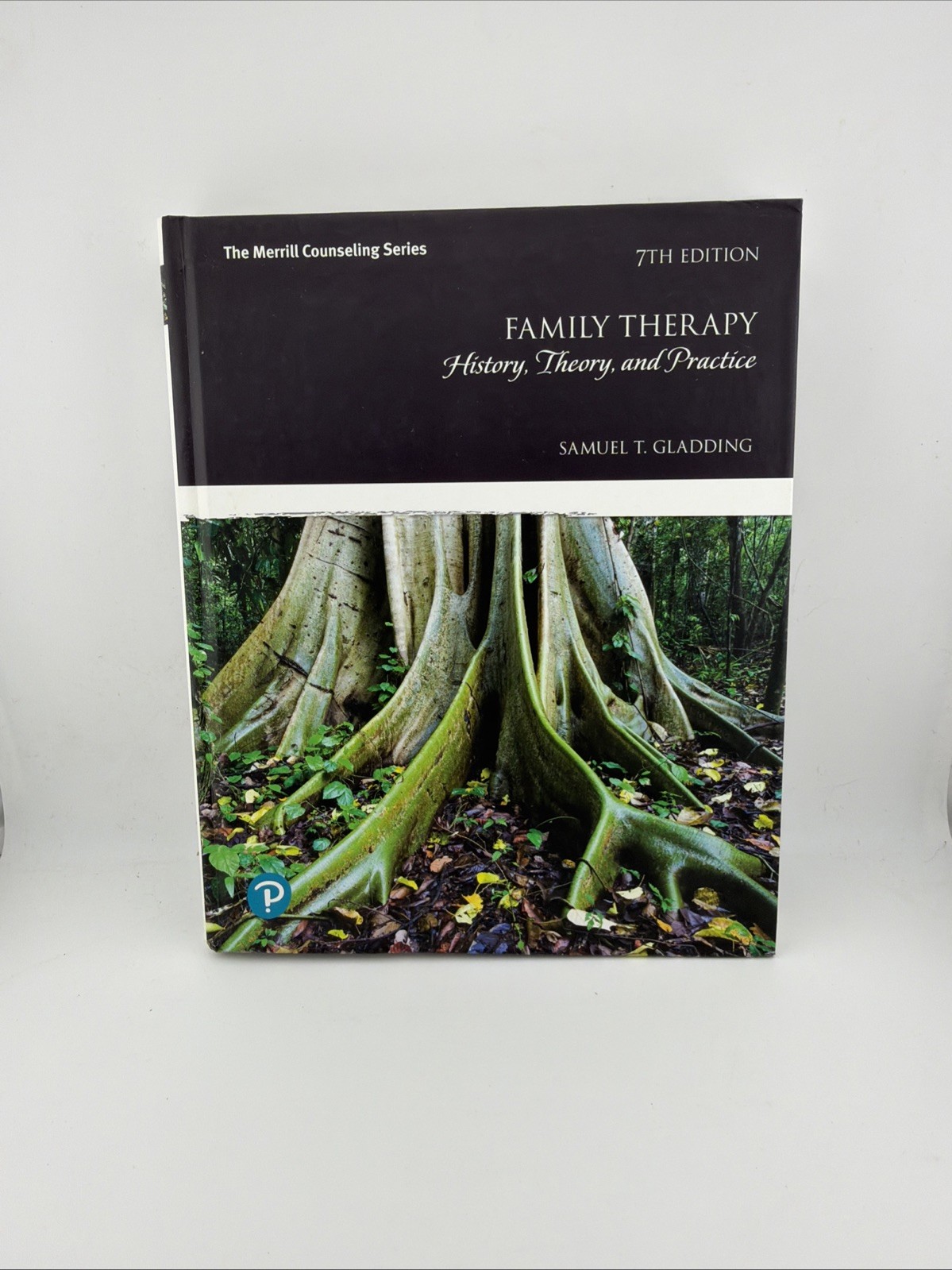 Family Therapy : History, Theory, and Practice Paperback Samuel G