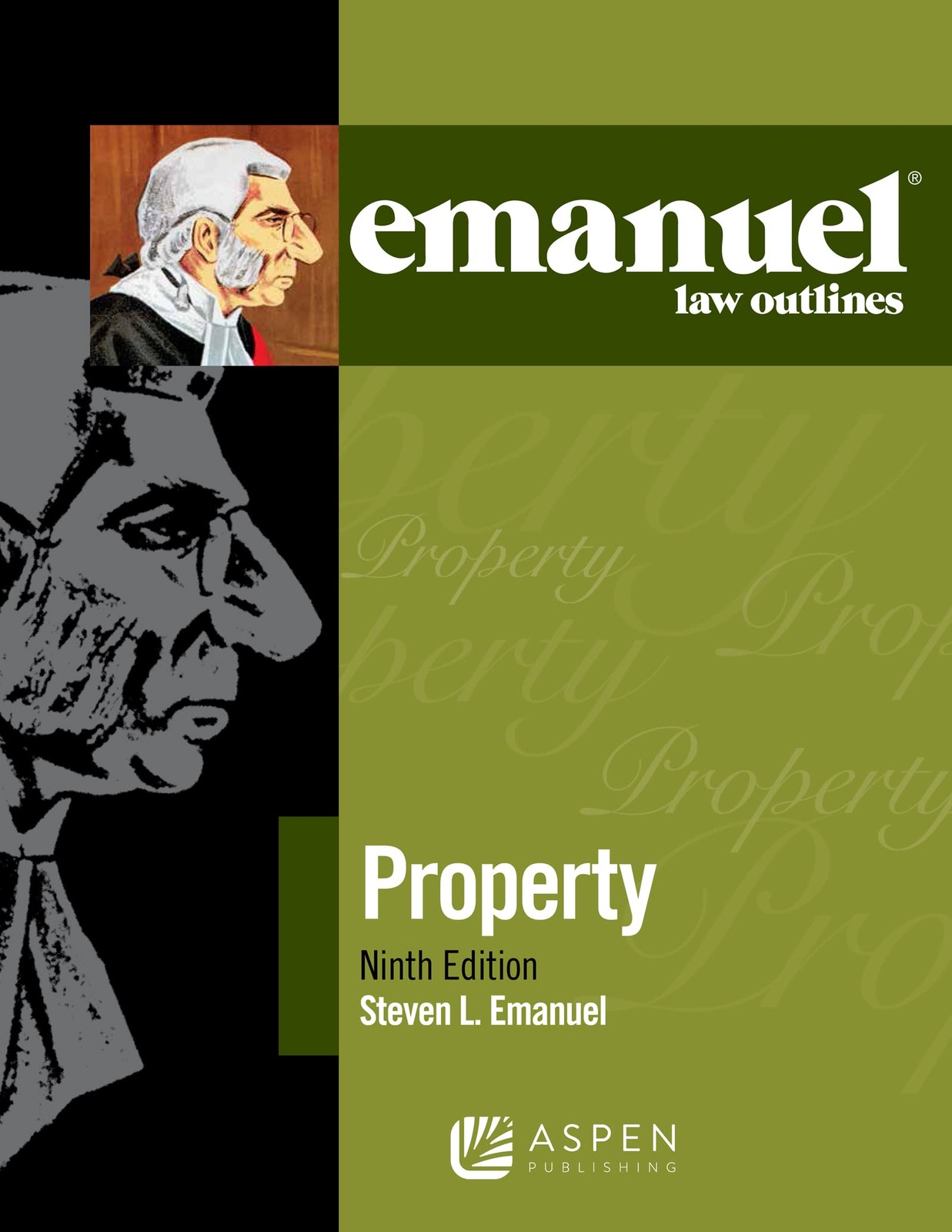 Emanuel Law Outlines for Property Emanuel, Steven L. paperback Very Good