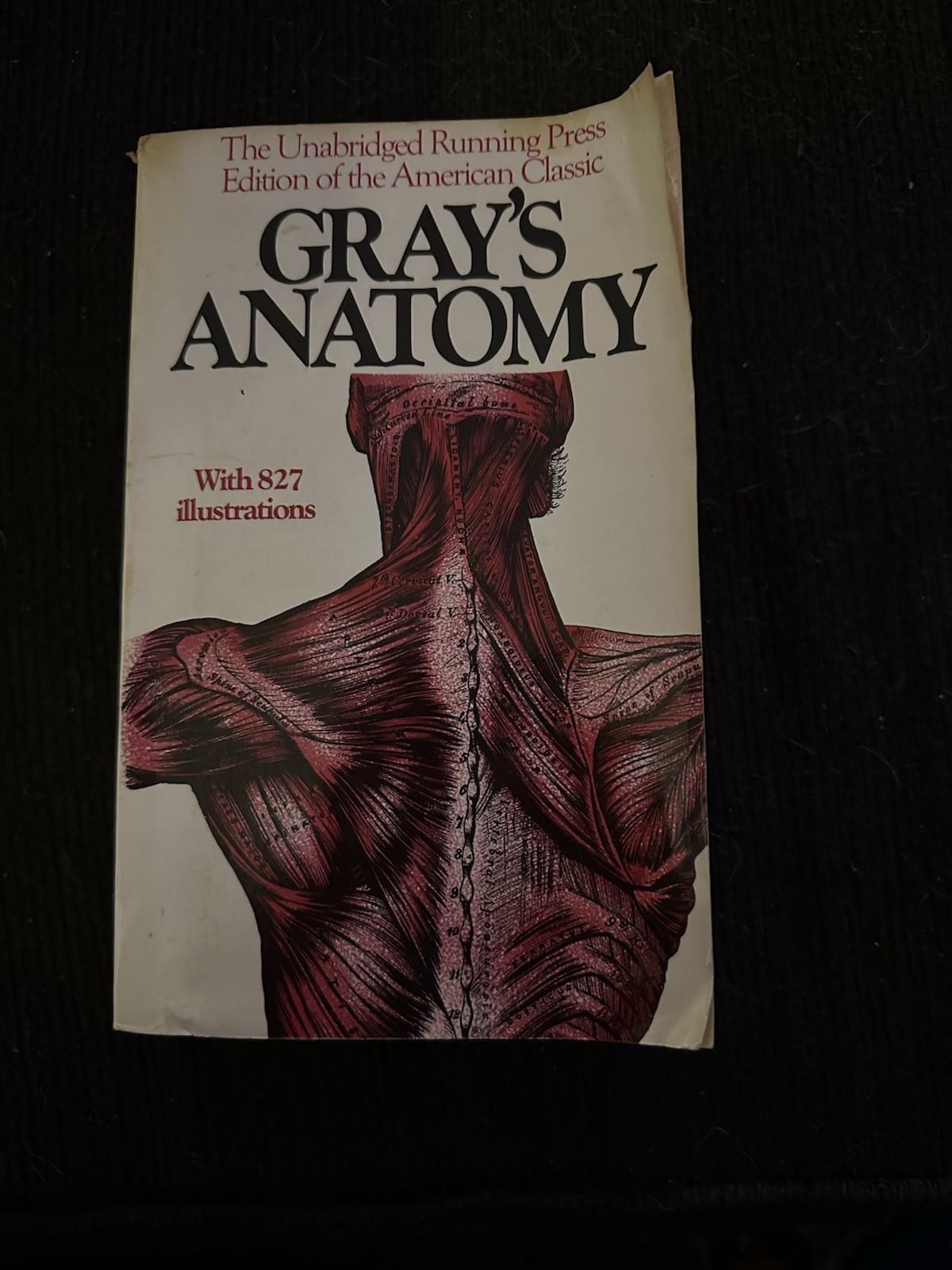 Gray’s Anatomy Unabridged Running Press Edition Softcover 827 Illustrations
