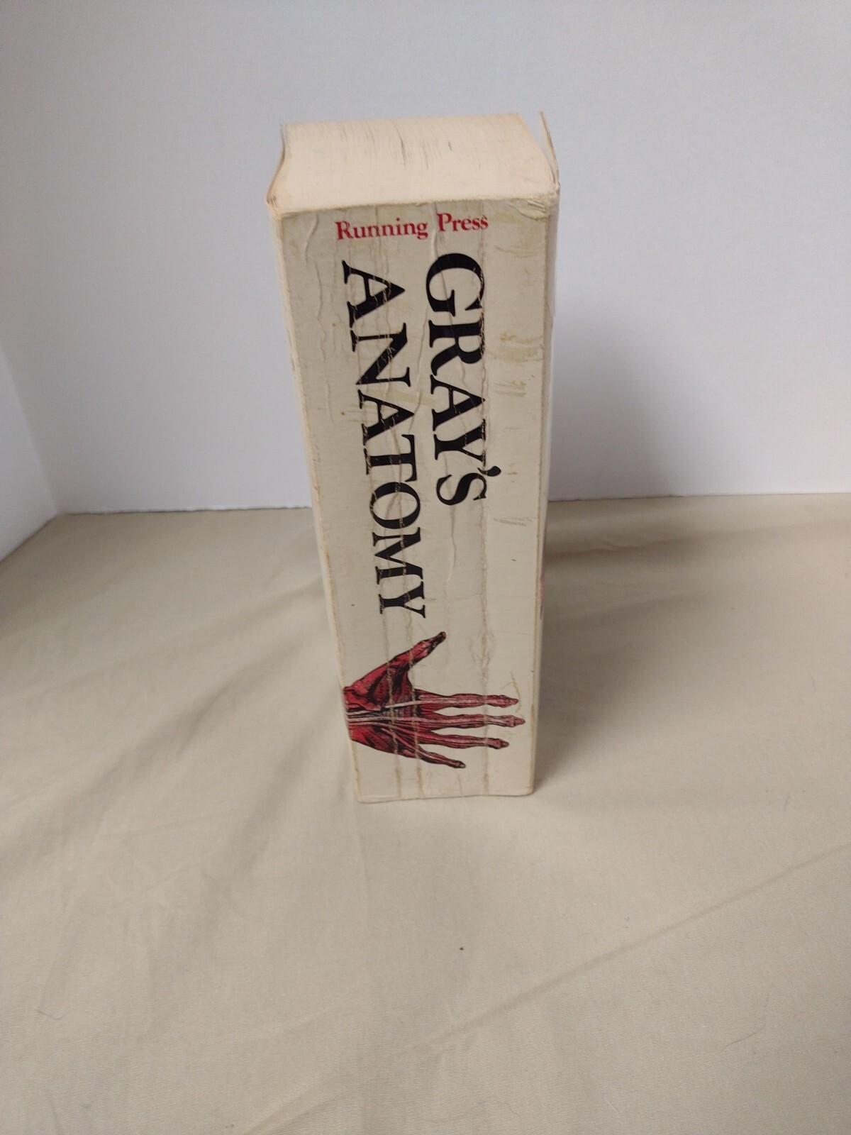Gray’s Anatomy ILLUSTRATED Running Press Edition American Classic 1974