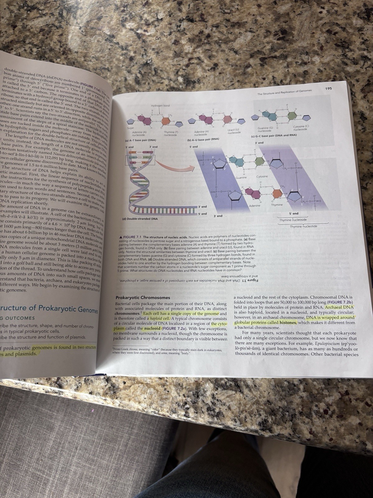 Microbiology with Diseases by Taxonomy by Robert Bauman (2019, Hardcover)