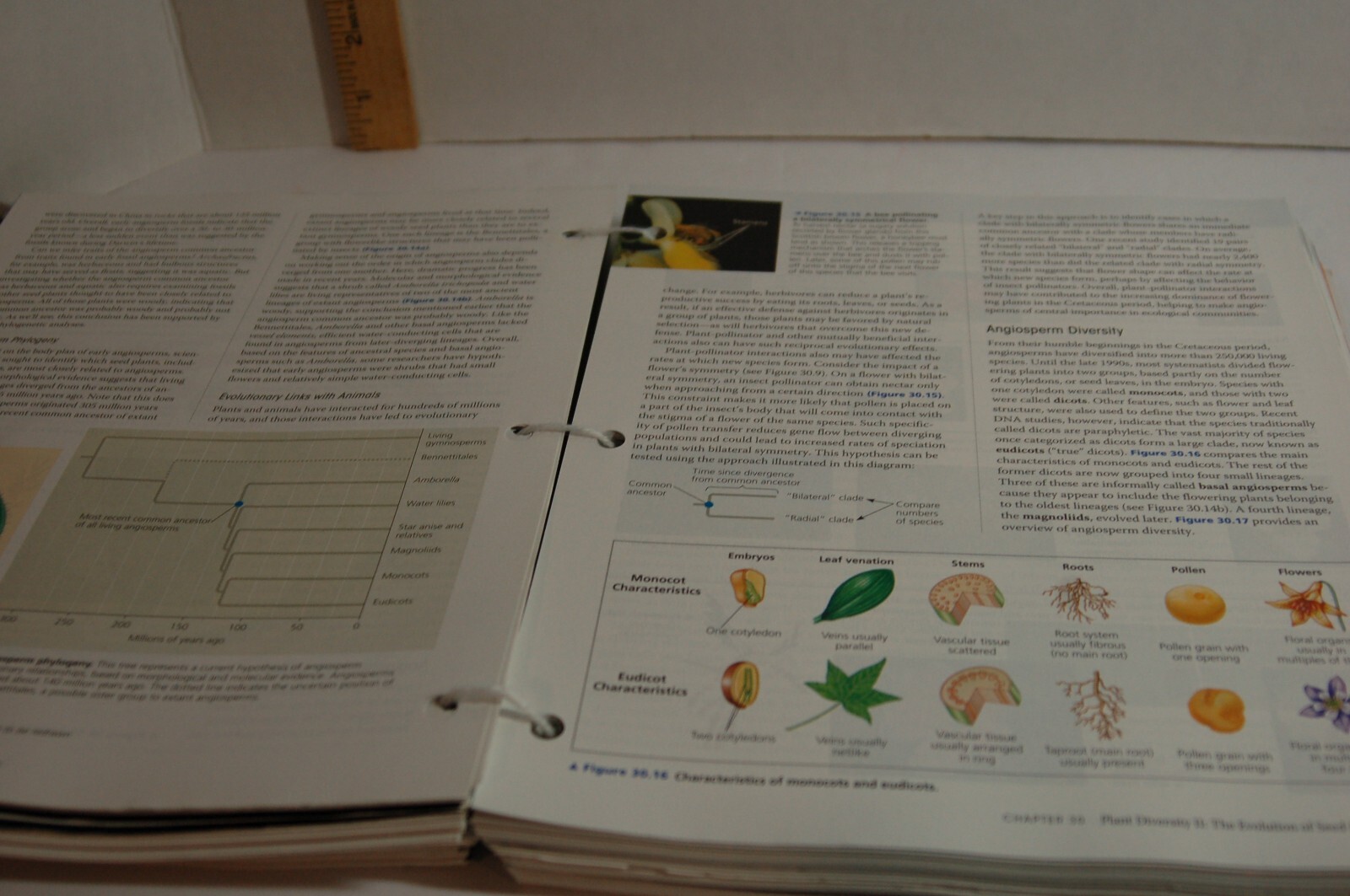 Campbell Biology 10th Edition Binder-ready Looseleaf Textbook Pearson A La Carte