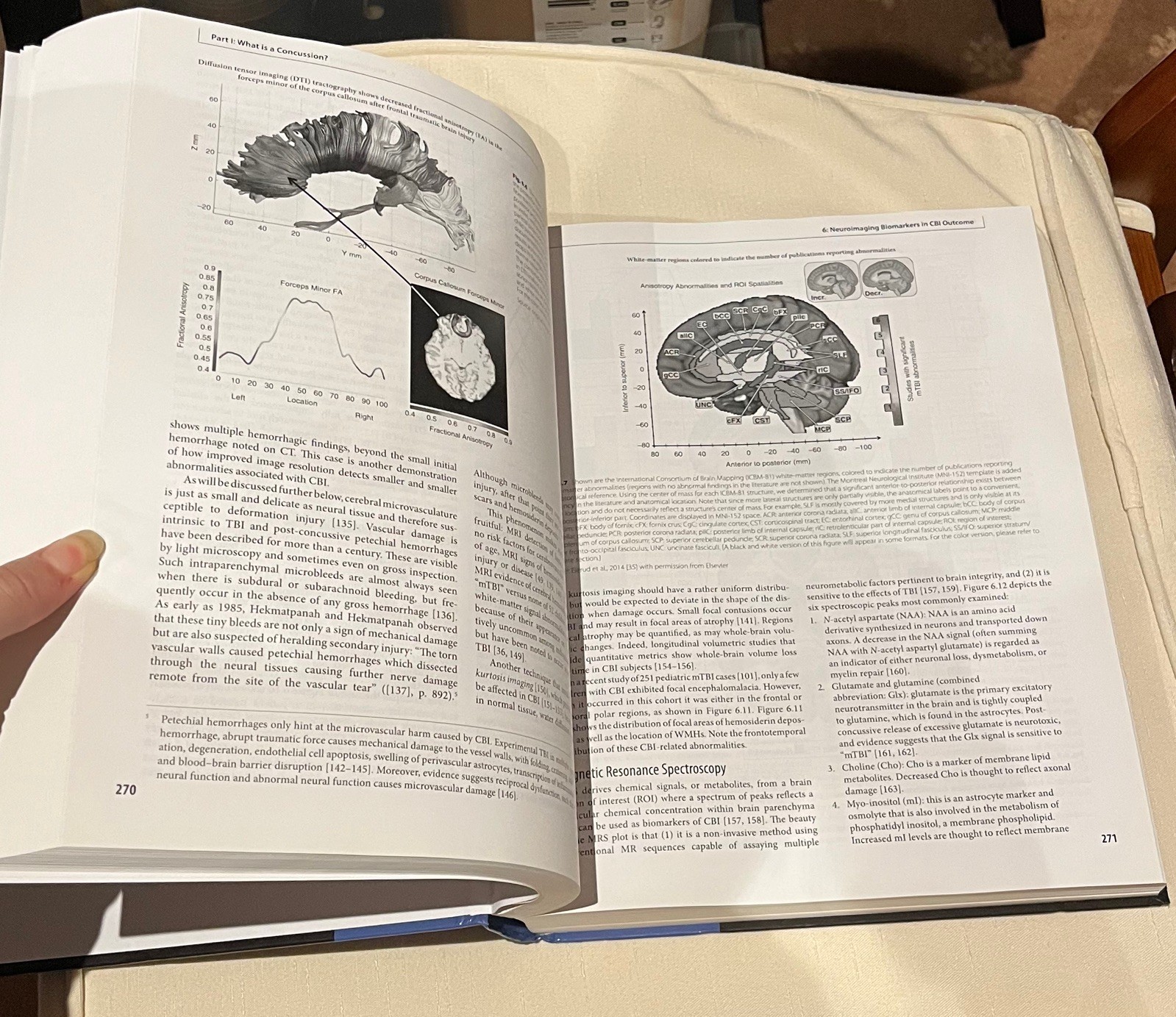 Leading textbook for all neurologists, and brain-related physicians. New unused