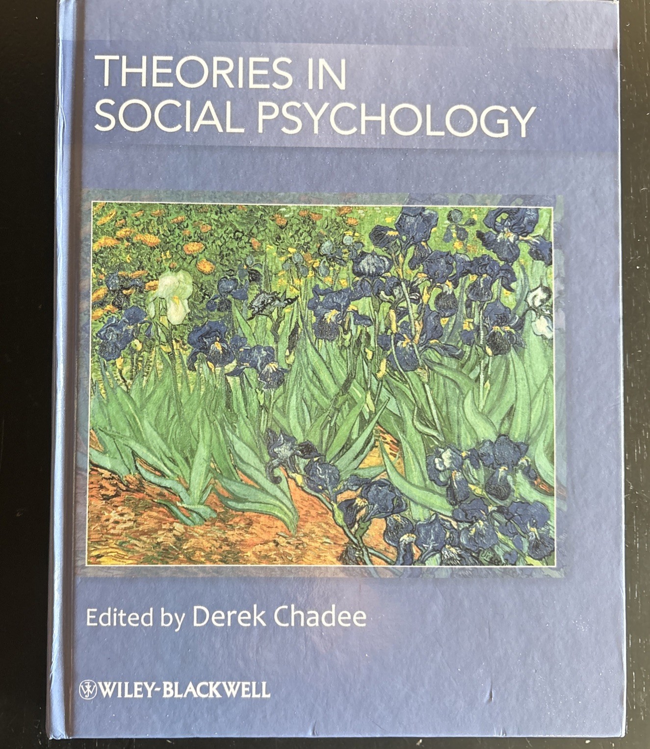 Theories in Social Psychology by Derek Chadee (2011, Hardcover)