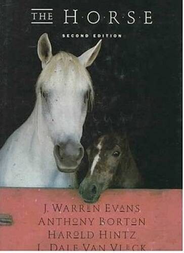 The Horse – Hardcover By J. Warren Evans – GOOD