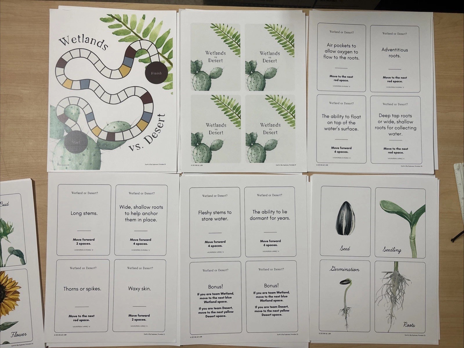 How Wee Learn Homeschool Curriculum Printables Kindergarten Science Animals Set