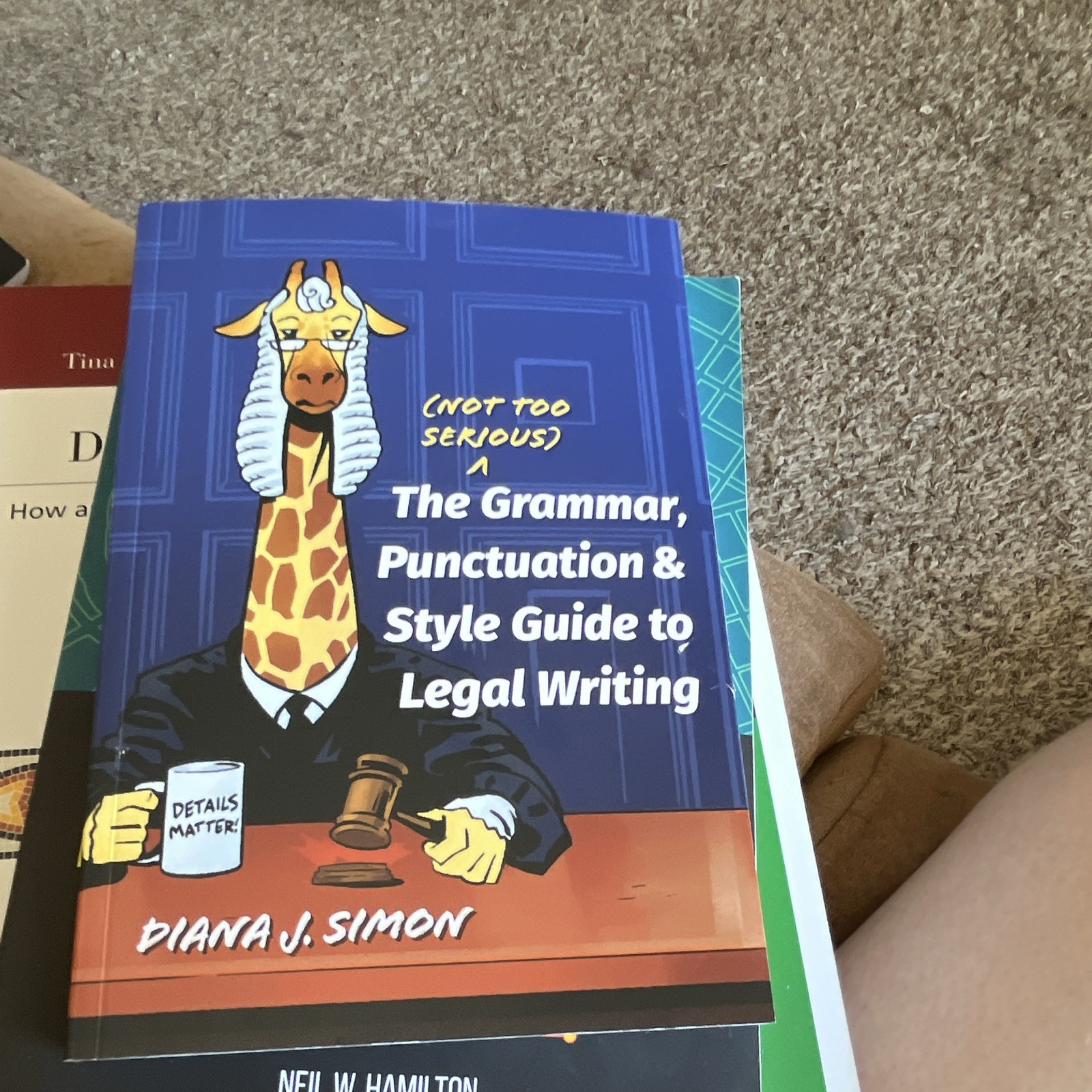 Carolina Academic Press Not Too Serious Legal Writing Style Guide PB 2022