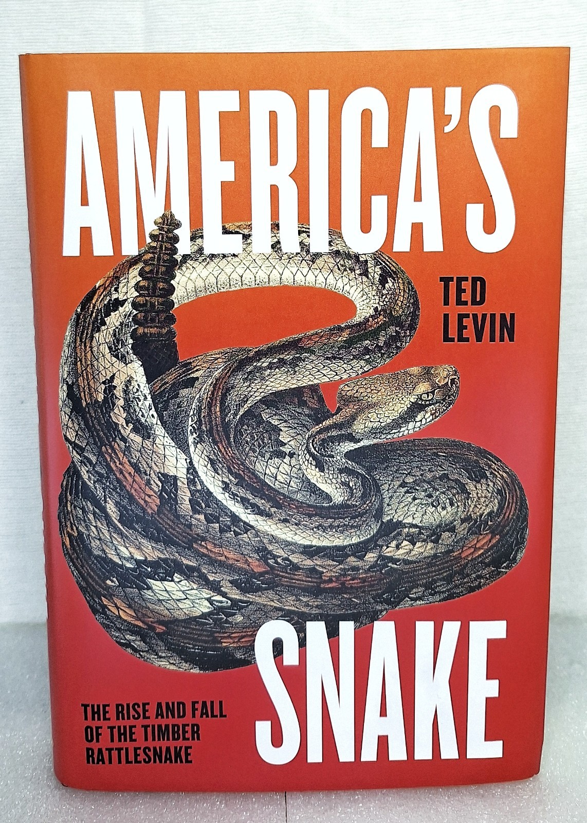 America’s Snake : The Rise and Fall of the Timber Rattlesnake Ted – 1st Edition