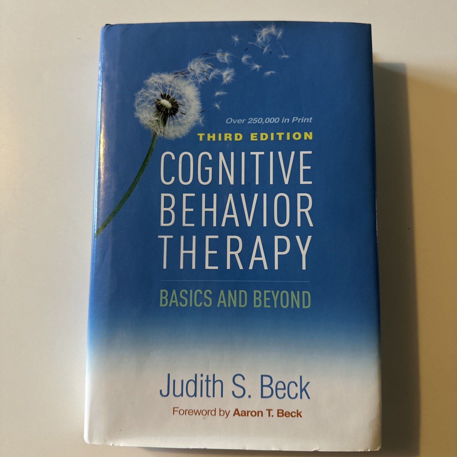 Cognitive Behavior Therapy : Basics and Beyond by Judith S Beck 2020, Hardcover)