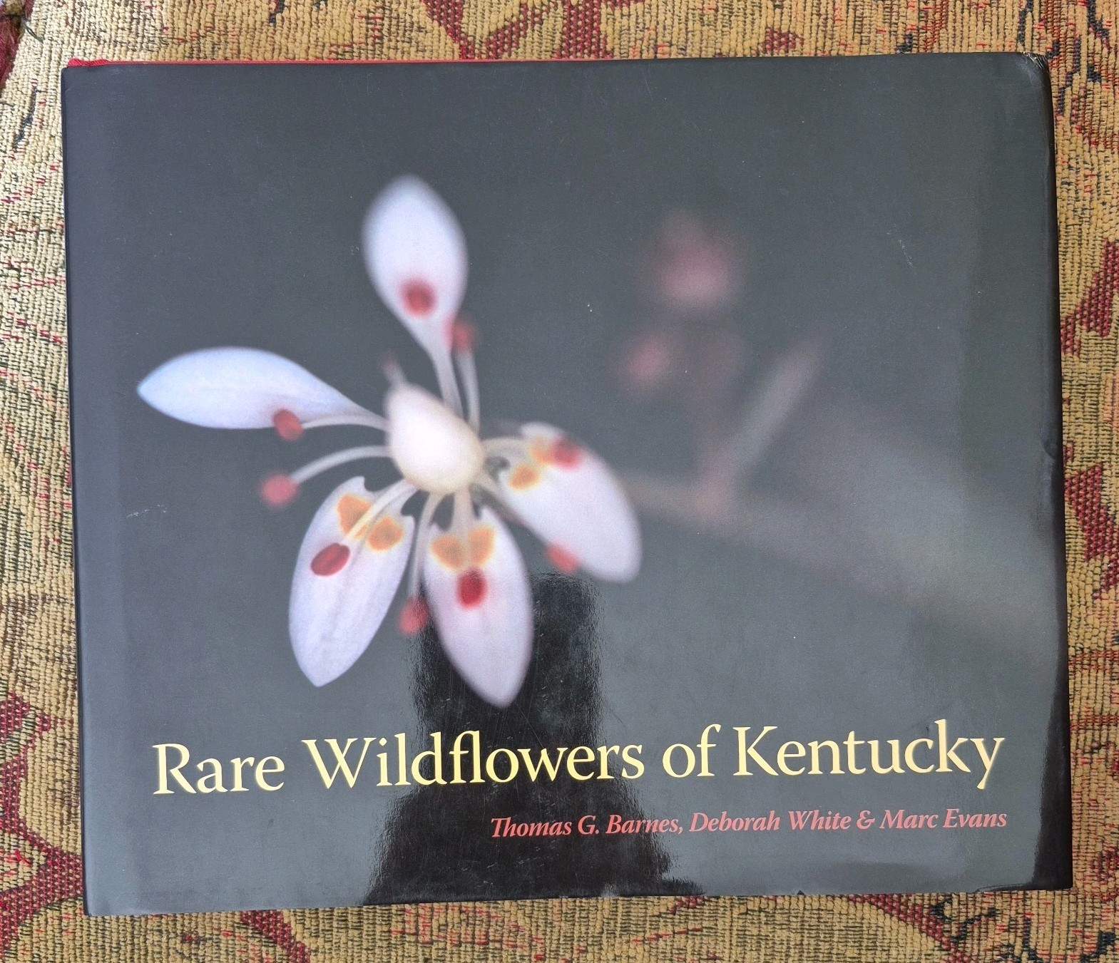 Rare Wildflowers of Kentucky by Thomas G Barnes: Used