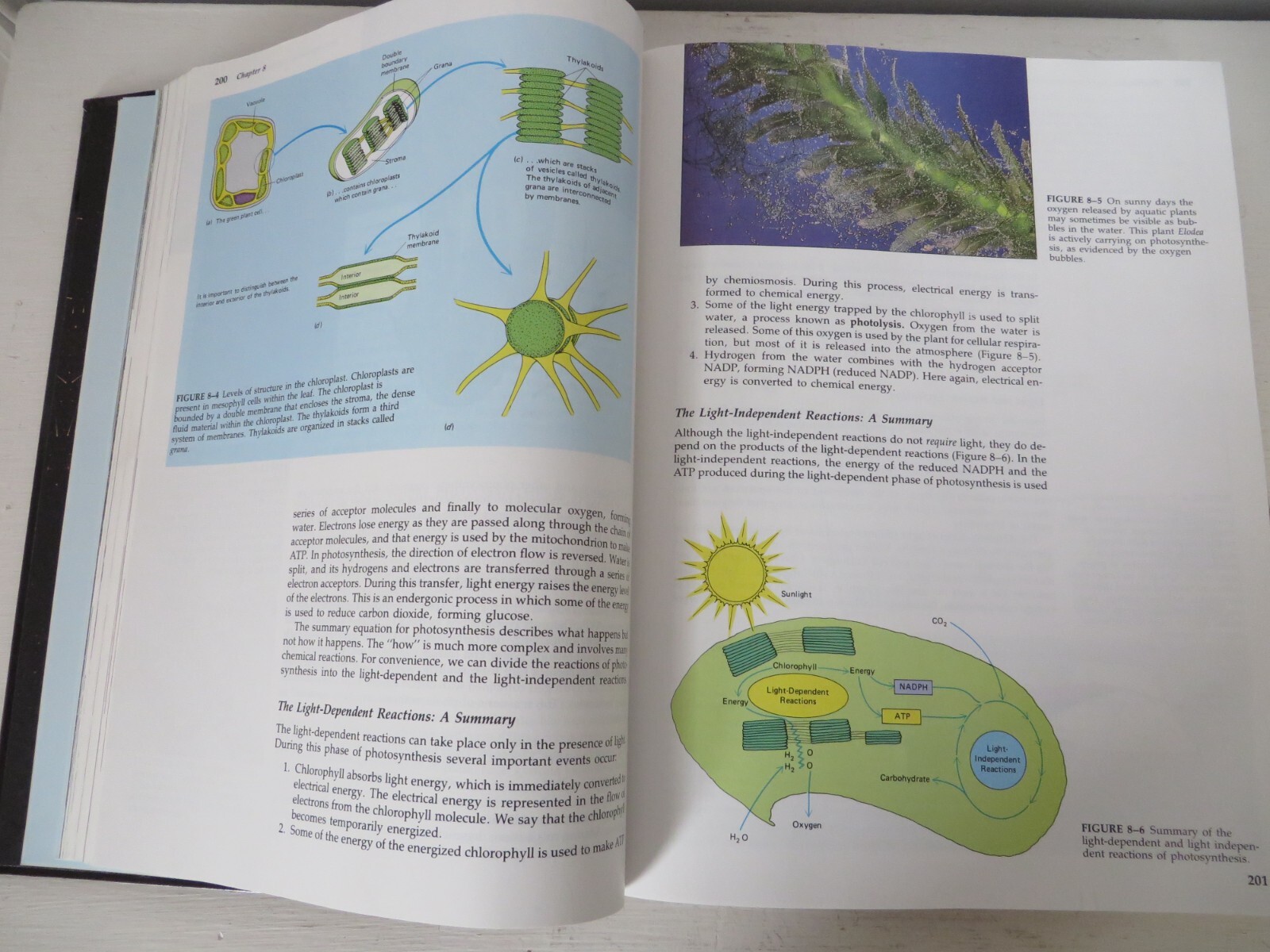 Biology Second Edition Hardcover Collegiate Textbook – 1,455 Pages Total