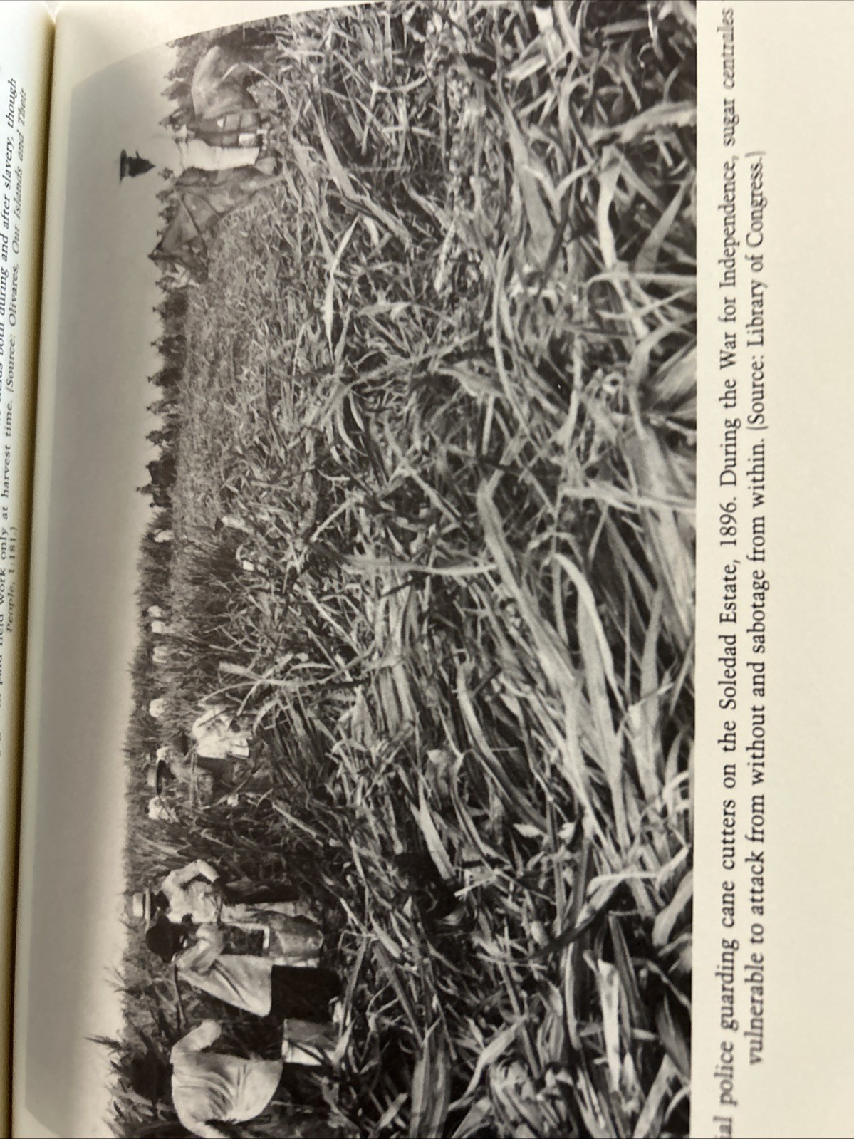 Slave Emancipation in Cuba: The Transition to Free Labor, 1860-1899 P1