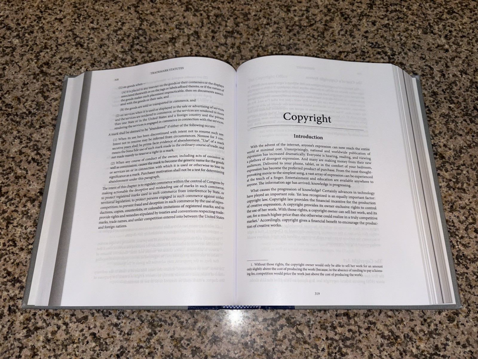 Intellectual Property Law: Ned Snow Third Edition (No Internal Markings)