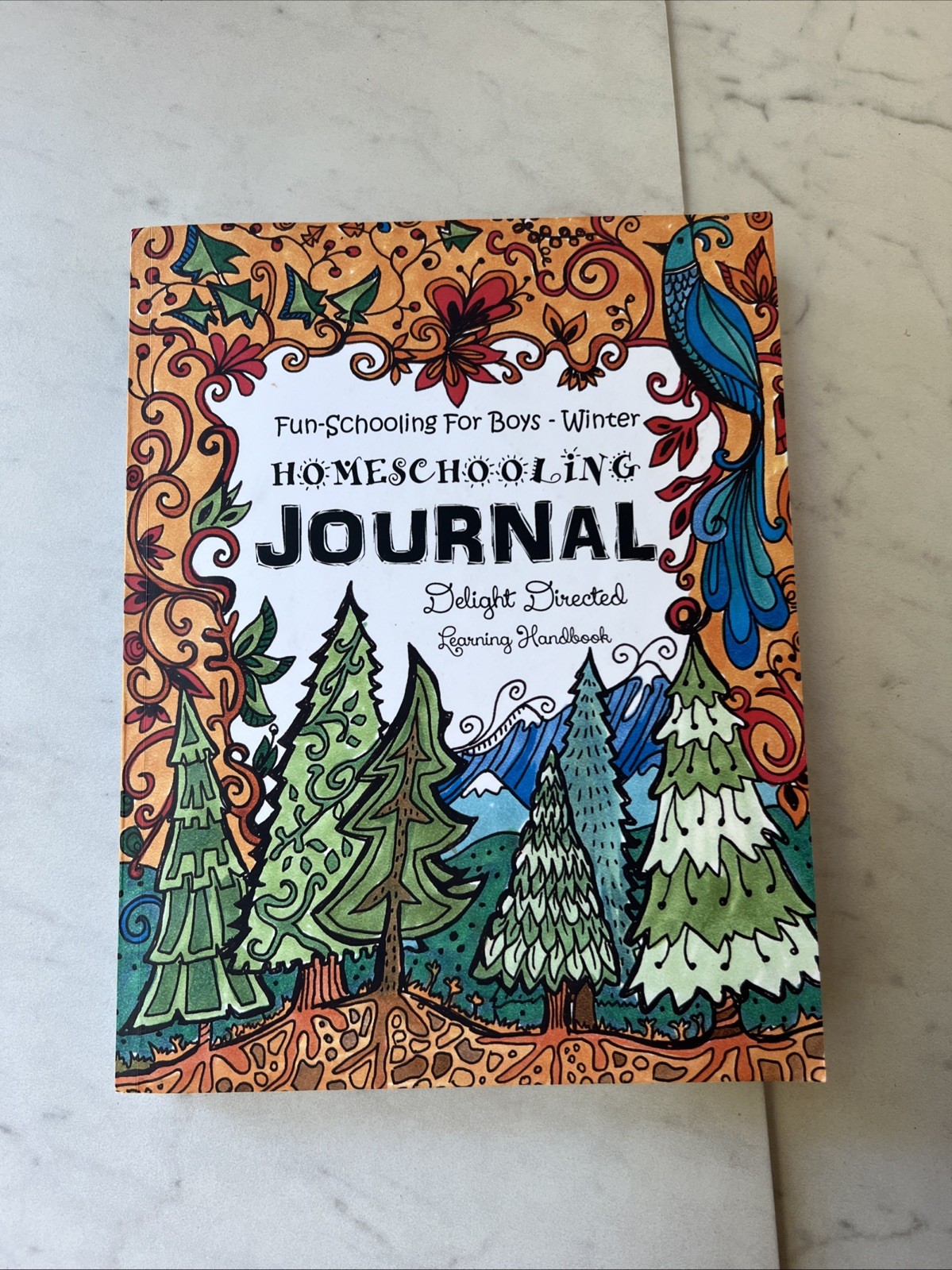 Fun-Schooling for Boys – Winter Homeschooling Journal : This 60 Day…