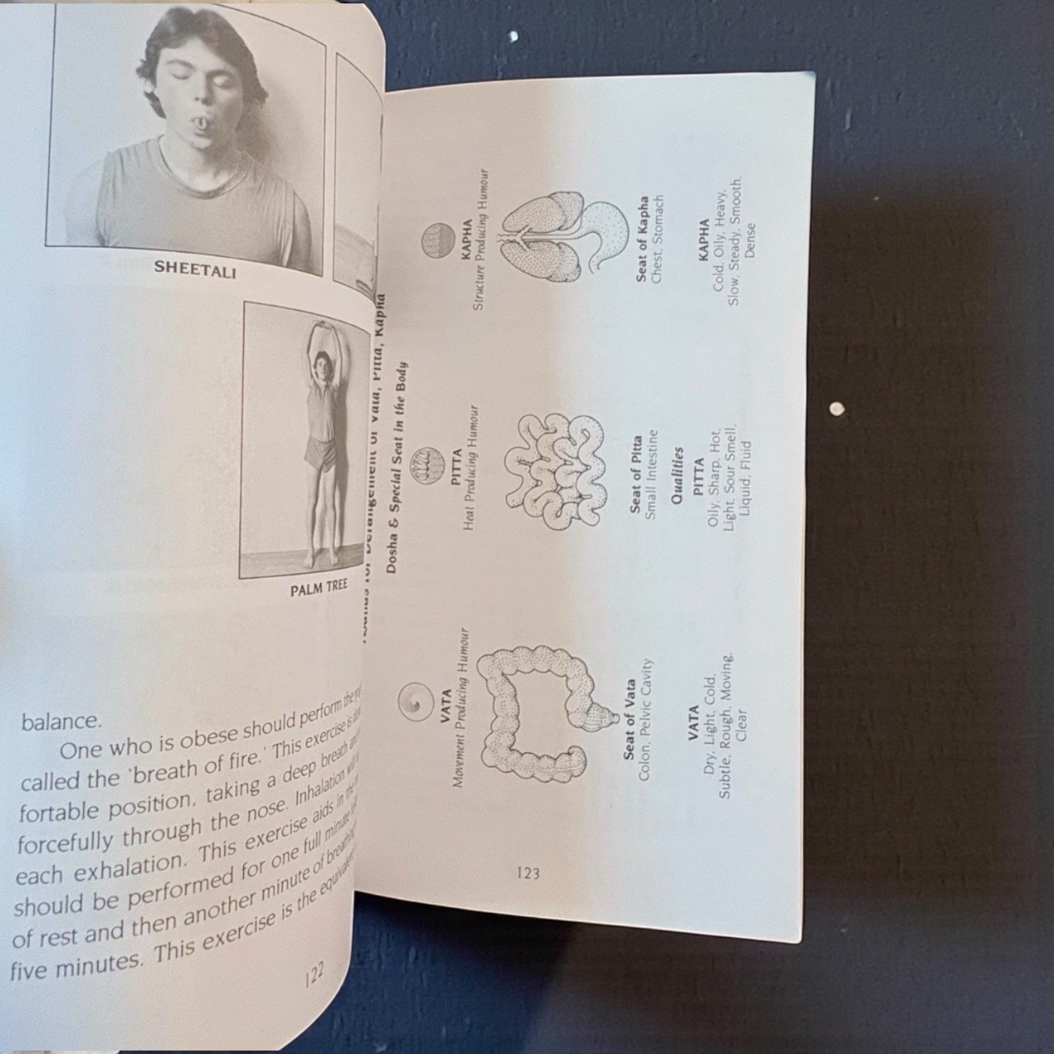Ayurveda Science of Self Healing Vasant Lad Paperback Practical Guide 1985
