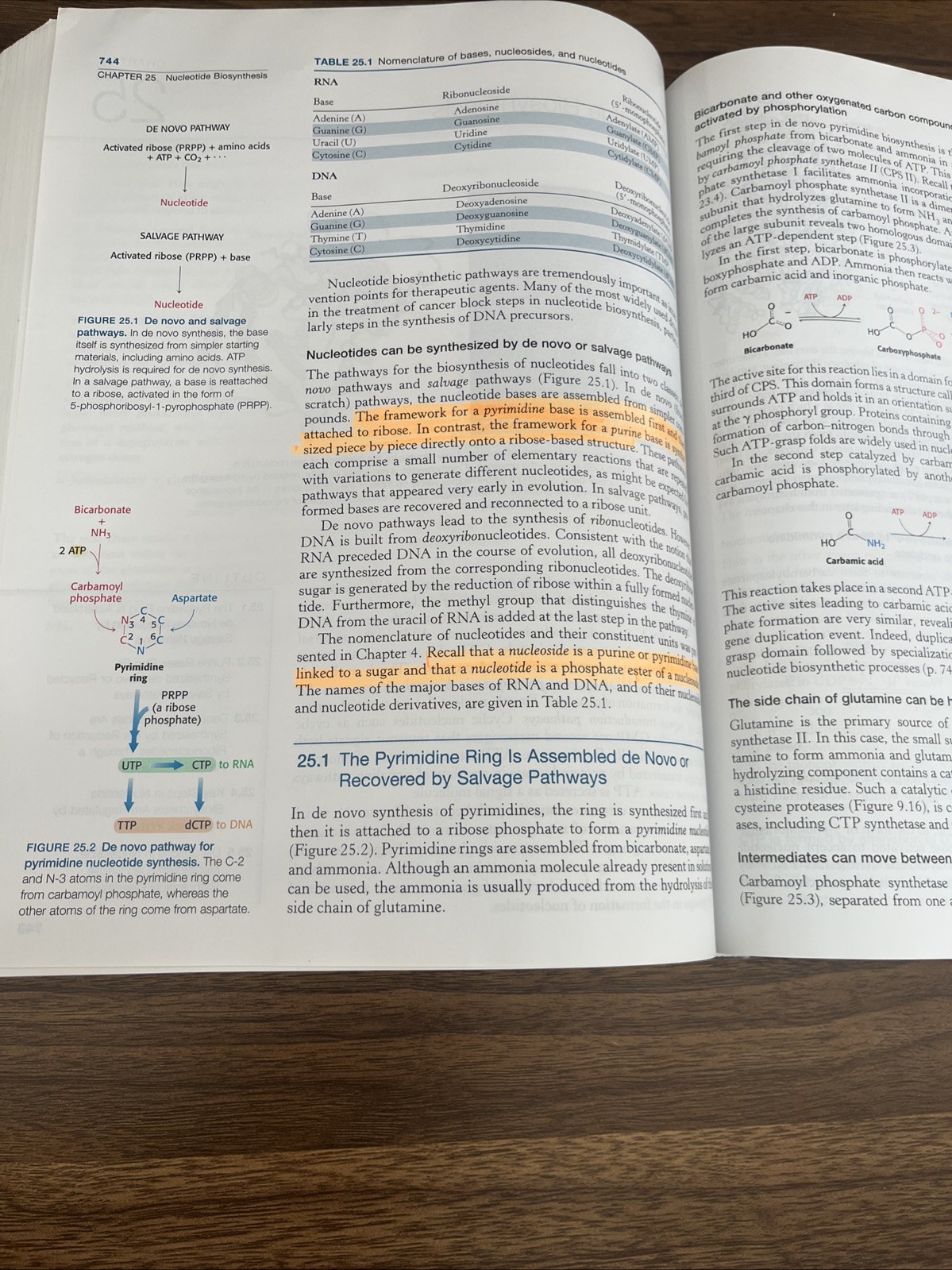Biochemistry by John L. Tymoczko, Lubert Stryer, Jeremy M. Berg and Gregory…