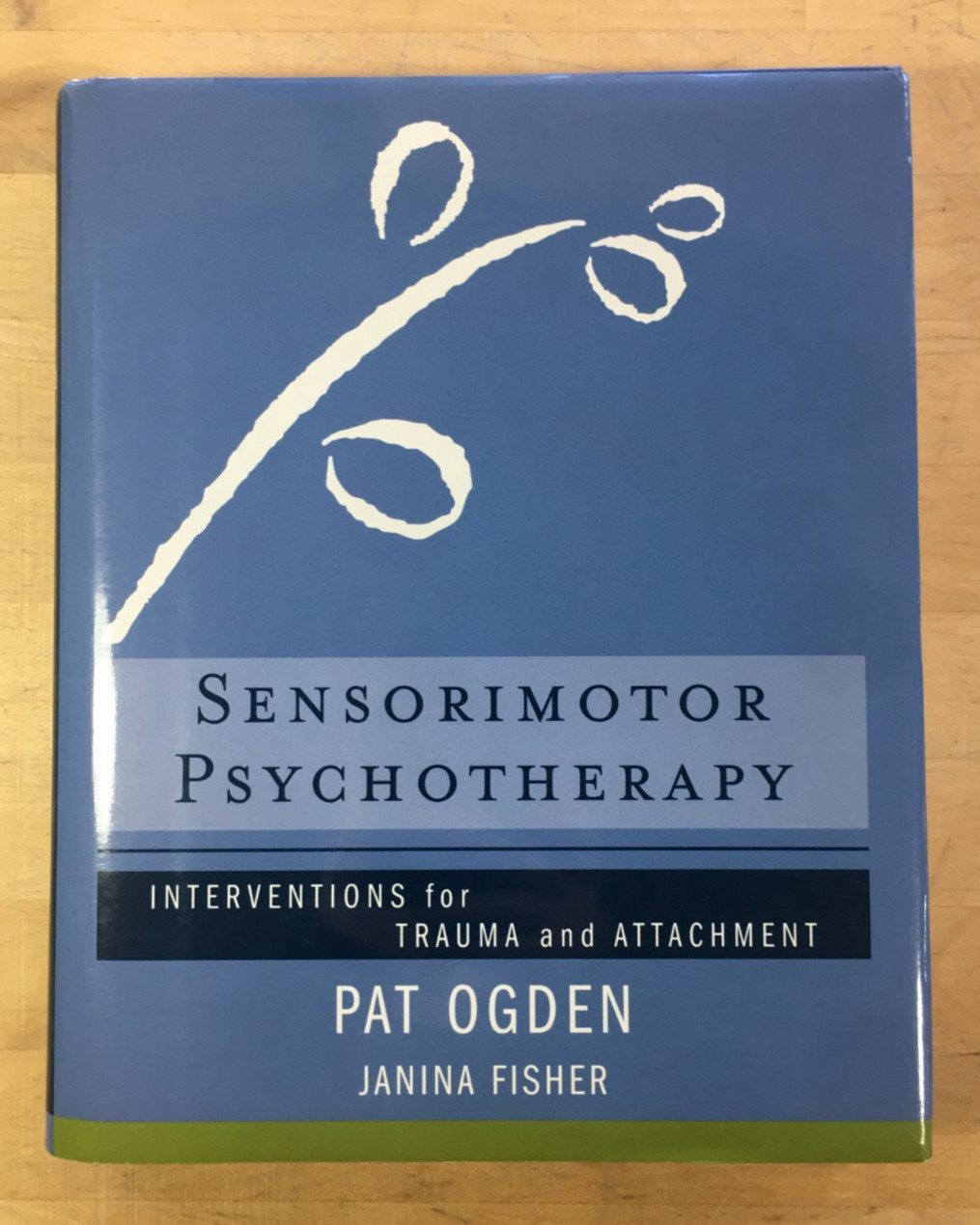 Sensorimotor Psychotherapy: Interventions for Trauma and Attachment by Pat Ogden