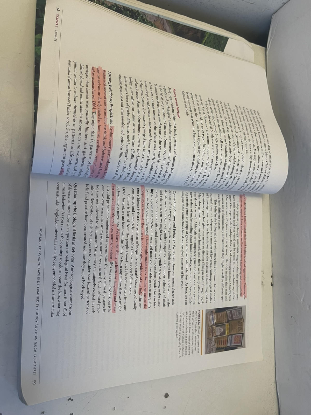 Cultural Anthropology : A Toolkit for a Global Age by Kenneth J. Guest (2013,…